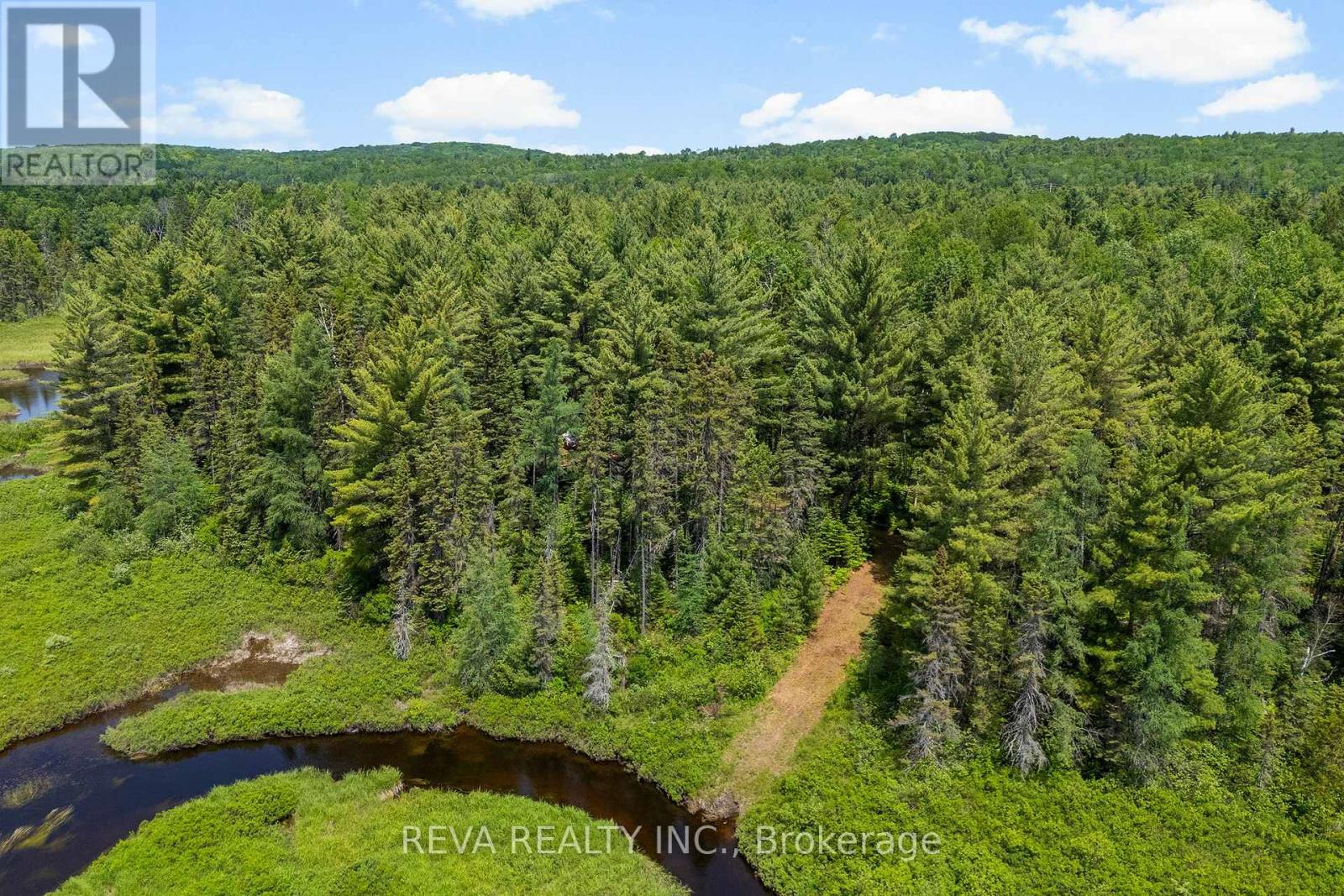 0 Williams Lake Road, Hastings Highlands (Mcclure Ward), Ontario  K0L 2S0 - Photo 8 - X12229539