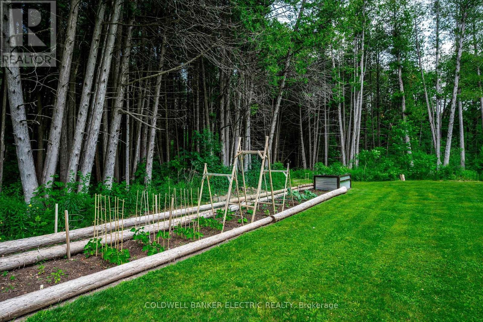 60 Ennis Road, Selwyn, Ontario  K0L 1T0 - Photo 38 - X12229552