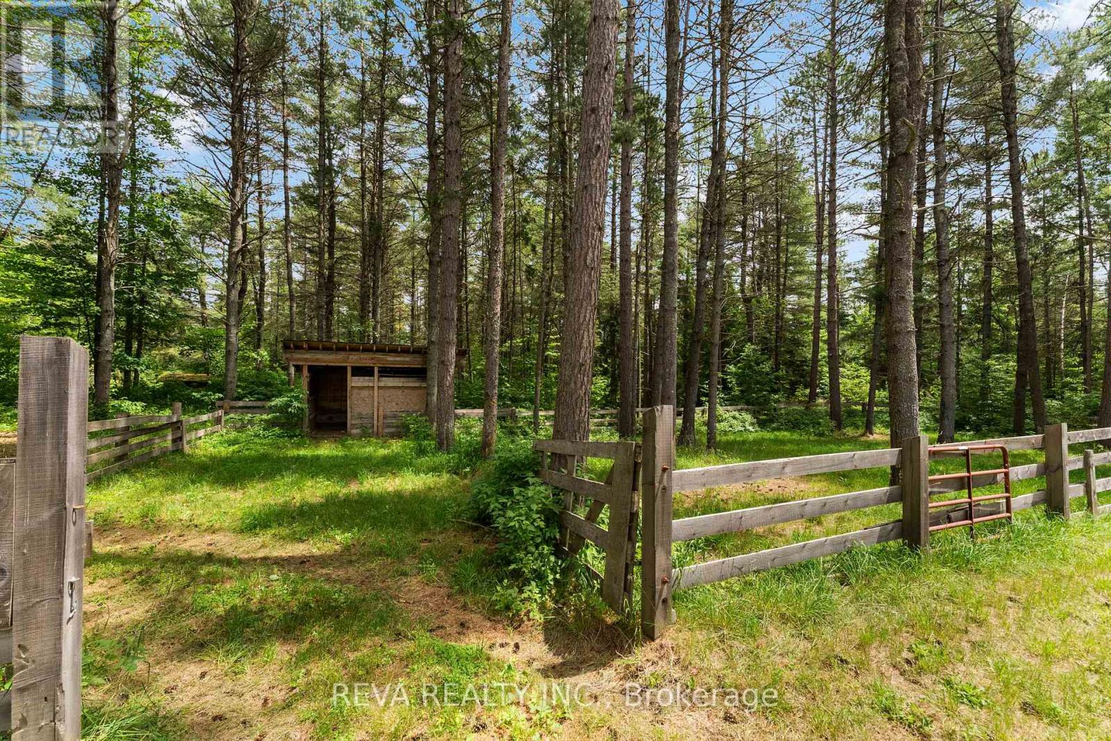 32 Papineau Lake Road, Hastings Highlands (Wicklow Ward), Ontario  K0L 2R0 - Photo 33 - X12229707