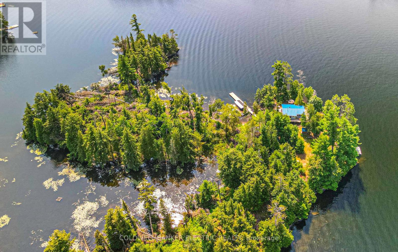 820 Island 28, Havelock-Belmont-Methuen, Ontario  K0L 1A0 - Photo 33 - X12230043