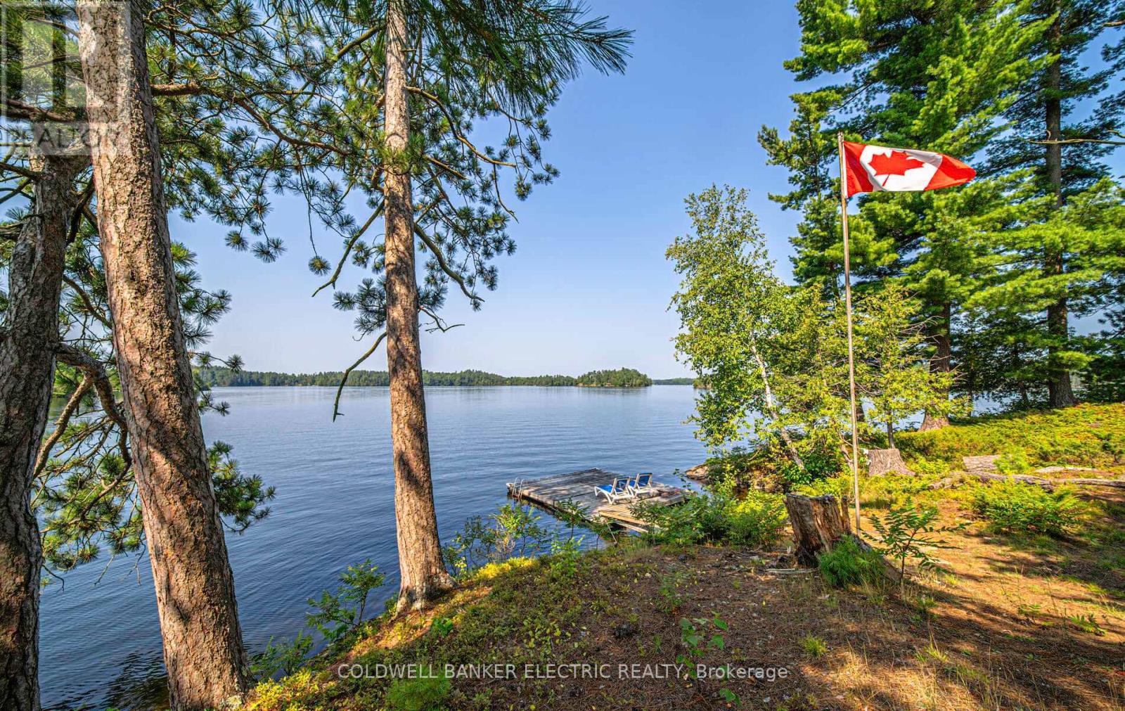 820 Island 28, Havelock-Belmont-Methuen, Ontario  K0L 1A0 - Photo 5 - X12230043