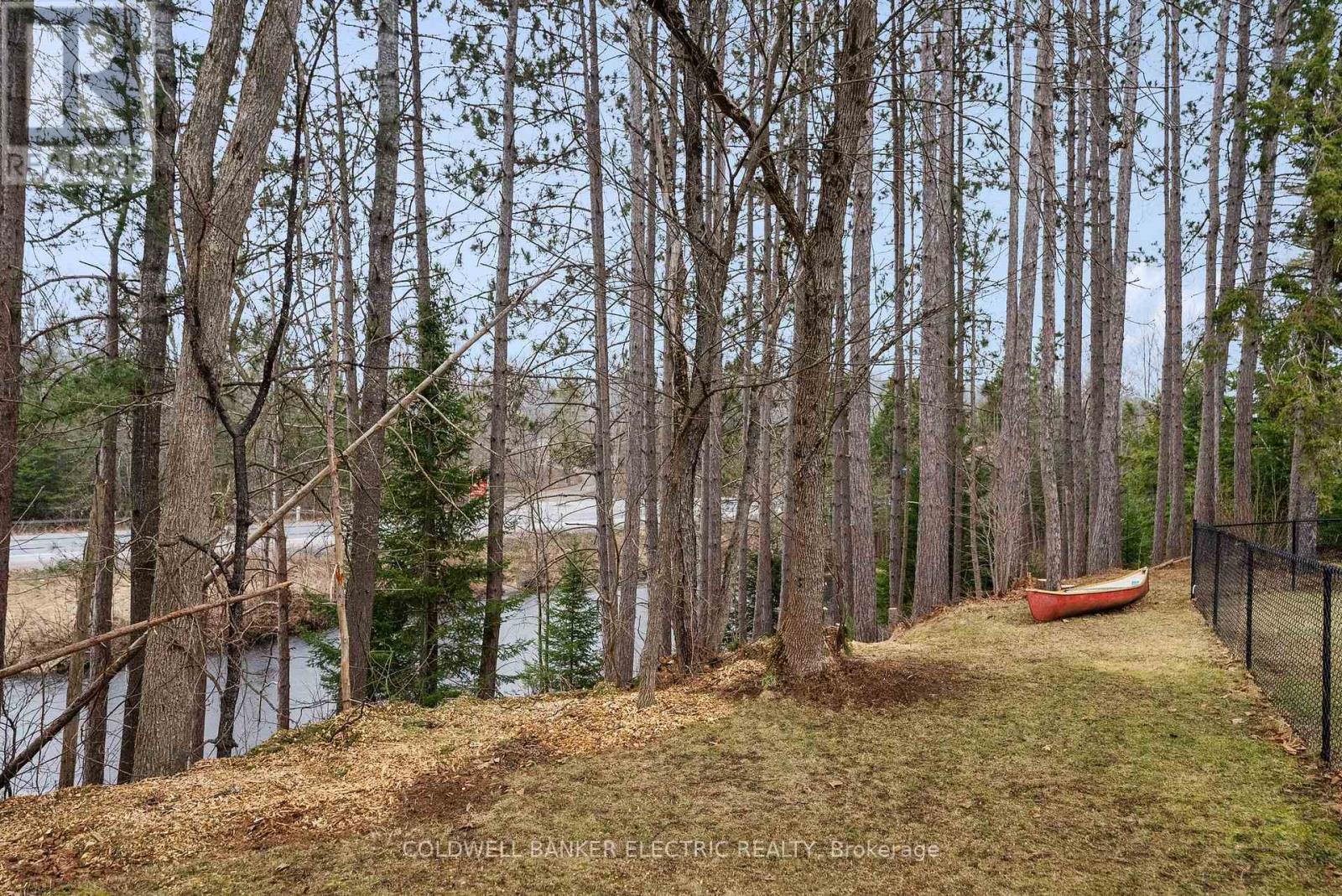 58 River Street, North Kawartha, Ontario  K0L 1A0 - Photo 32 - X12230756