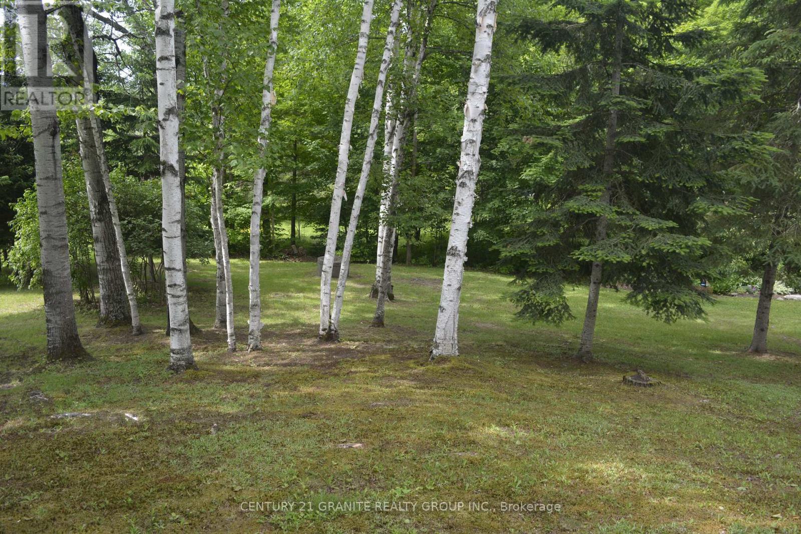 3338 South Baptiste Lake Road, Highlands East, Ontario  K0L 2A0 - Photo 29 - X12231584
