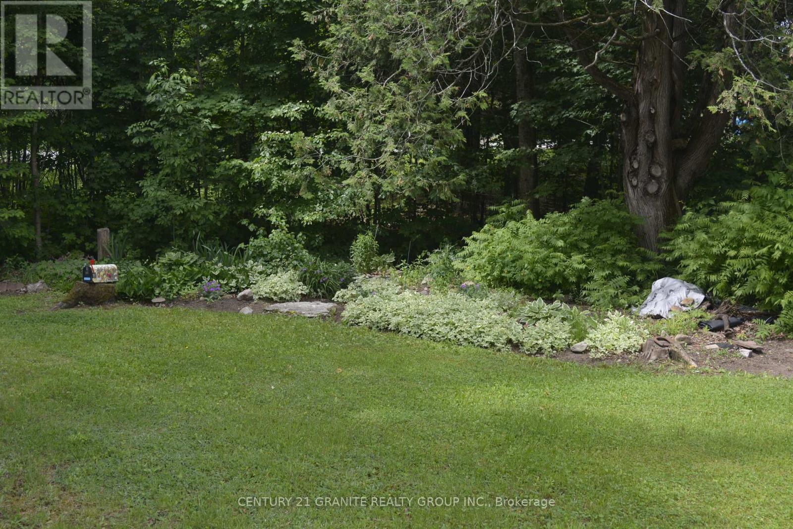 3338 South Baptiste Lake Road, Highlands East, Ontario  K0L 2A0 - Photo 31 - X12231584