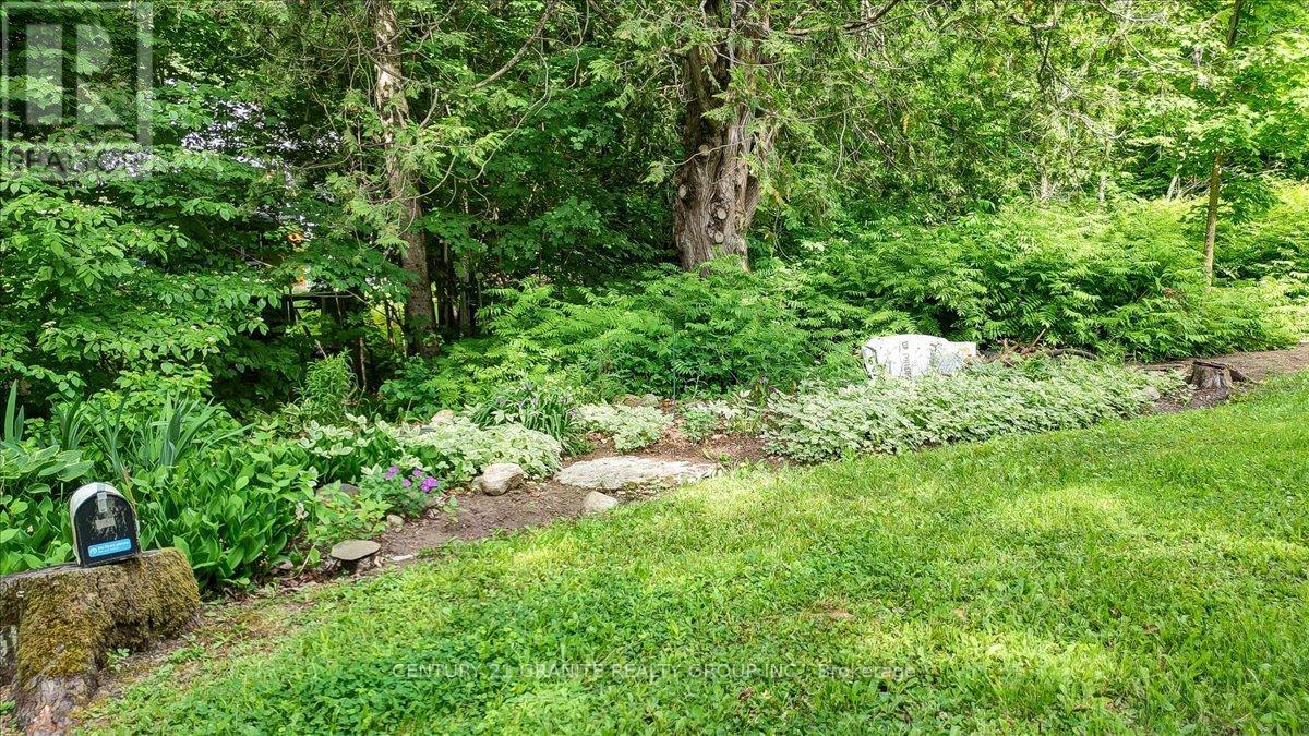 3338 South Baptiste Lake Road, Highlands East (Cardiff Ward), Ontario  K0L 2A0 - Photo 35 - X12231584