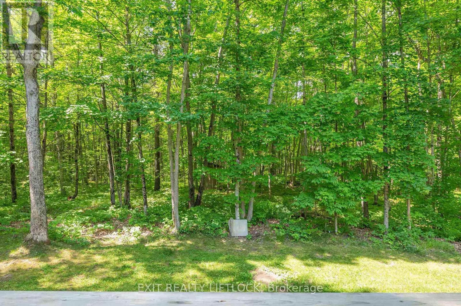 464 Belmont 7th Line, Havelock-Belmont-Methuen (Havelock), Ontario  K0L 1Z0 - Photo 27 - X12231955
