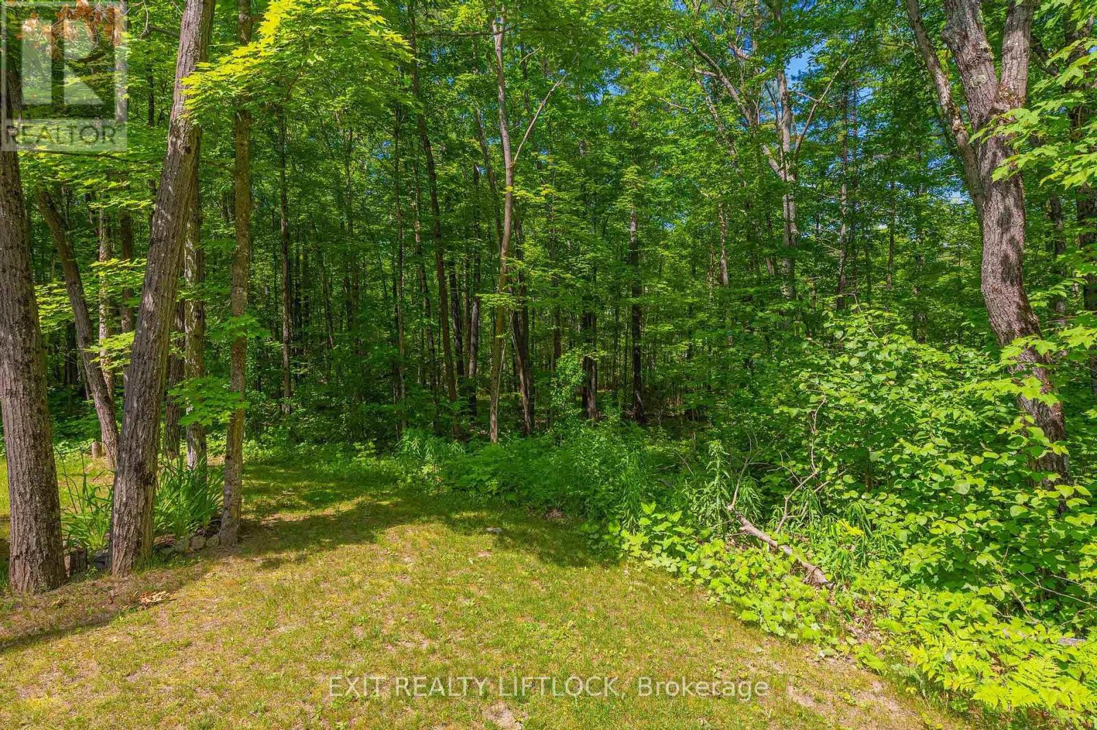 464 Belmont 7th Line, Havelock-Belmont-Methuen (Havelock), Ontario  K0L 1Z0 - Photo 44 - X12231955