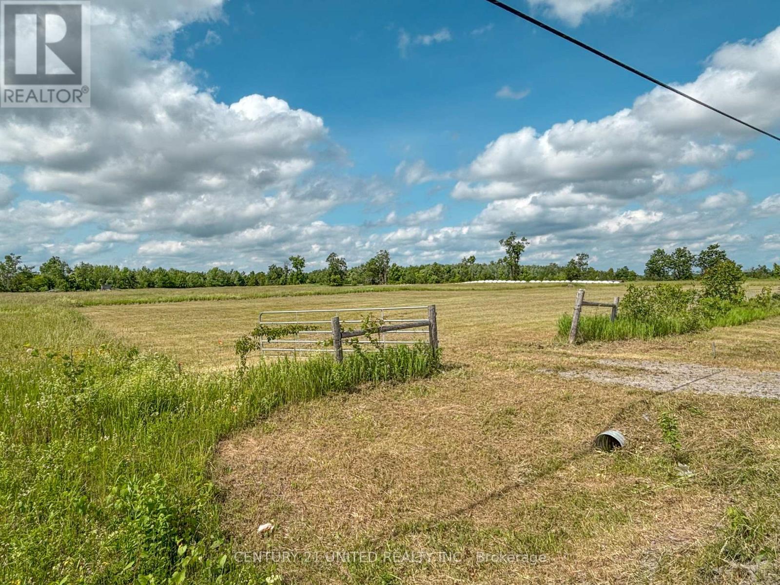 2300 Dummer-Asphodel Road N, Douro-Dummer, Ontario  K0L 2B0 - Photo 8 - X12232860
