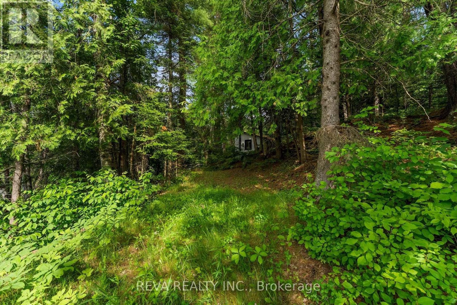 35532 Highway 28 Highway, Carlow/mayo (Mayo Ward), Ontario  K0L 2M0 - Photo 11 - X12232869