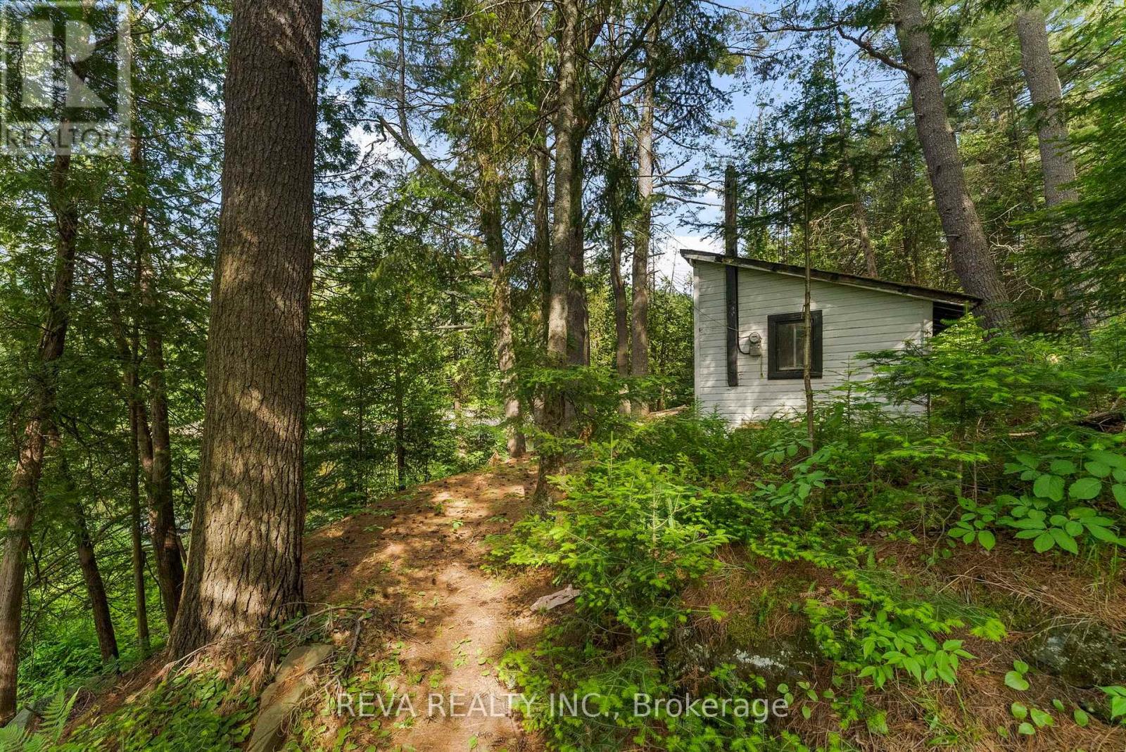 35532 Highway 28 Highway, Carlow/mayo (Mayo Ward), Ontario  K0L 2M0 - Photo 5 - X12232869