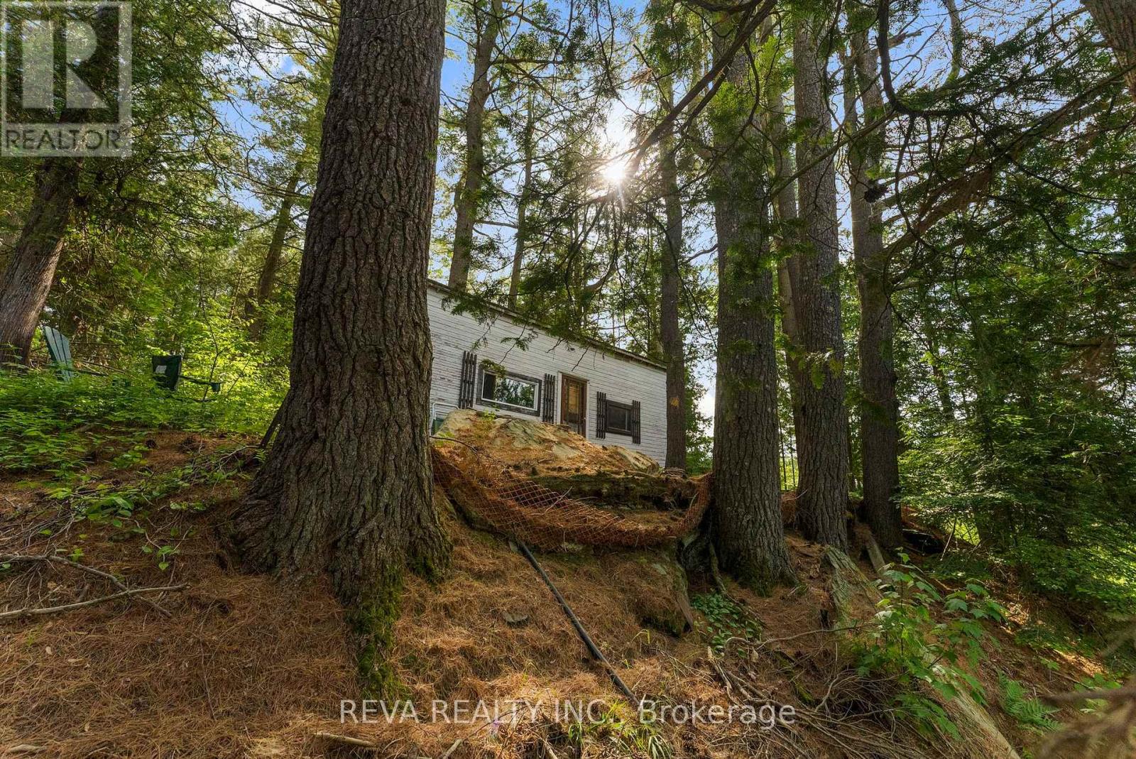 35532 Highway 28 Highway, Carlow/mayo (Mayo Ward), Ontario  K0L 2M0 - Photo 8 - X12232869