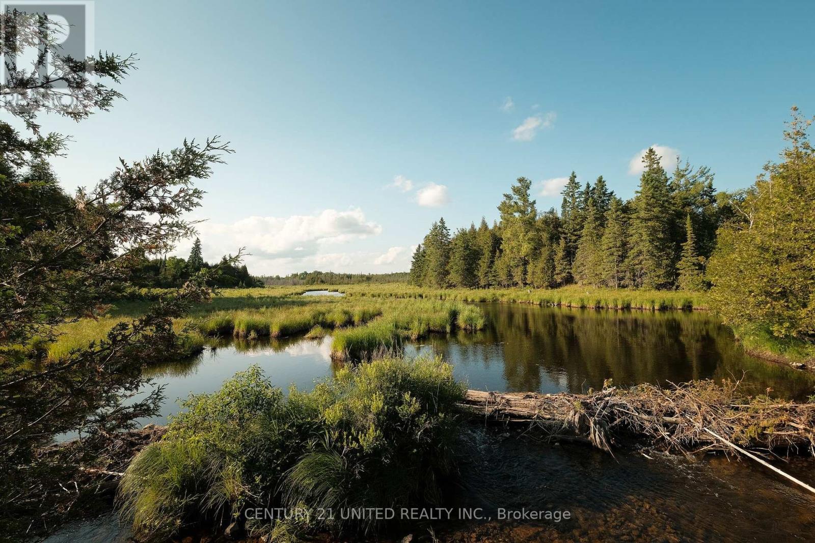 1480 Mill Line Road, Douro-Dummer, Ontario  K0L 2V0 - Photo 49 - X12233570