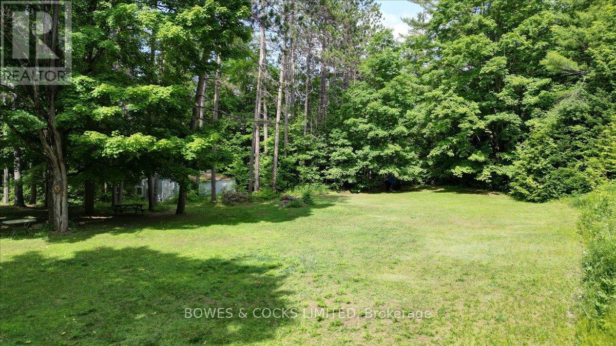 49 Mcfadden Road, North Kawartha, Ontario  K0L 1A0 - Photo 21 - X12234832