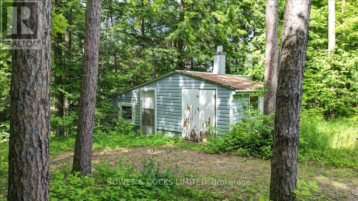 49 Mcfadden Road, North Kawartha, Ontario  K0L 1A0 - Photo 23 - X12234832