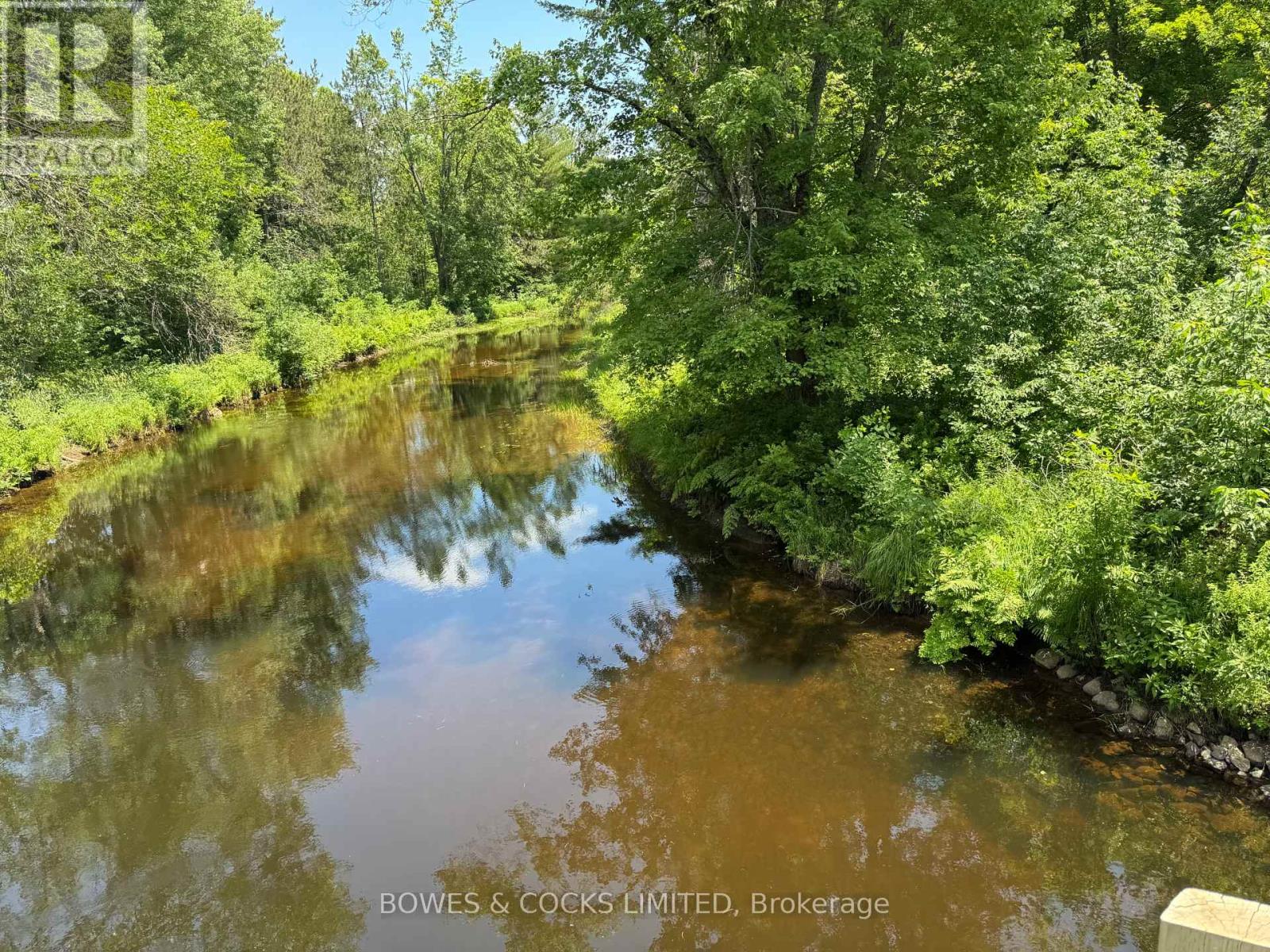 49 Mcfadden Road, North Kawartha, Ontario  K0L 1A0 - Photo 31 - X12234832