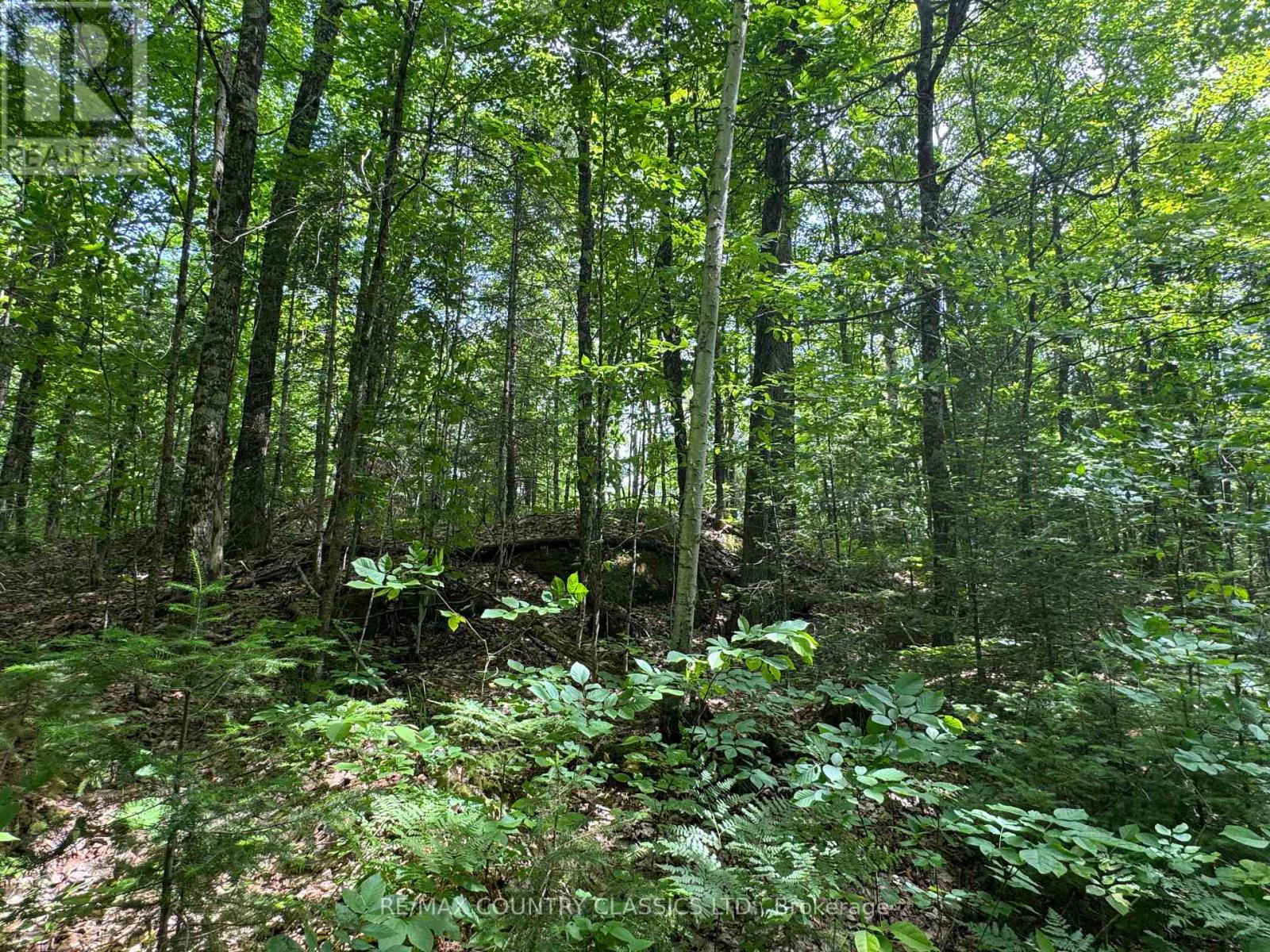 0 Jones Road, Wollaston, Ontario  K0L 1P0 - Photo 10 - X12235074