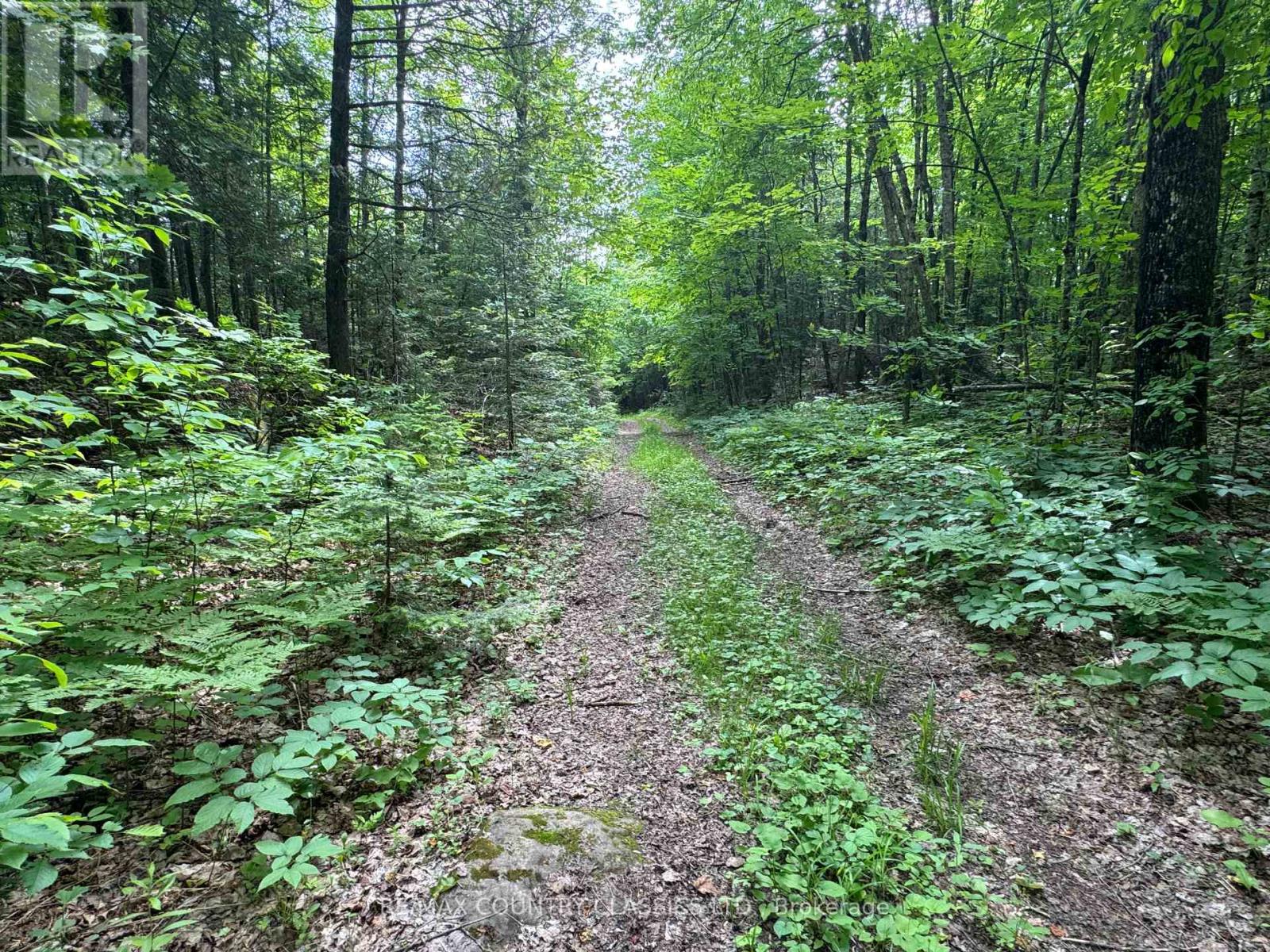 0 Jones Road, Wollaston, Ontario  K0L 1P0 - Photo 11 - X12235074