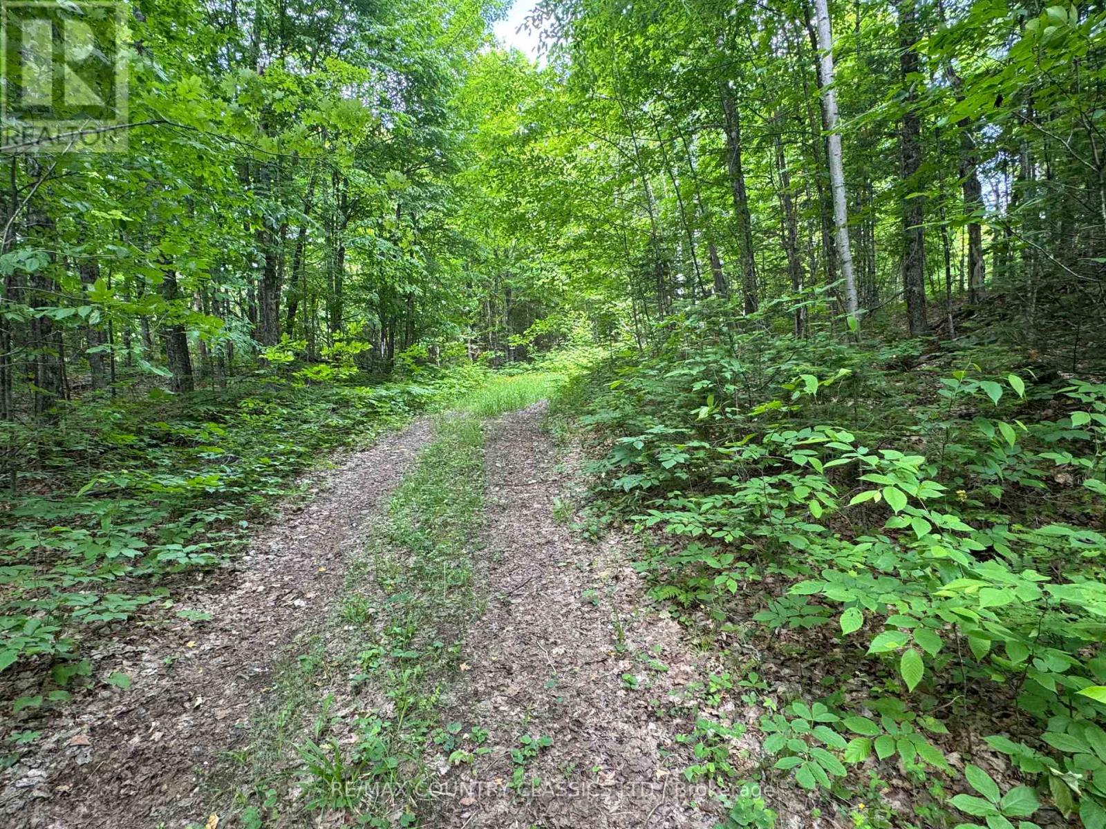 0 Jones Road, Wollaston, Ontario  K0L 1P0 - Photo 12 - X12235074