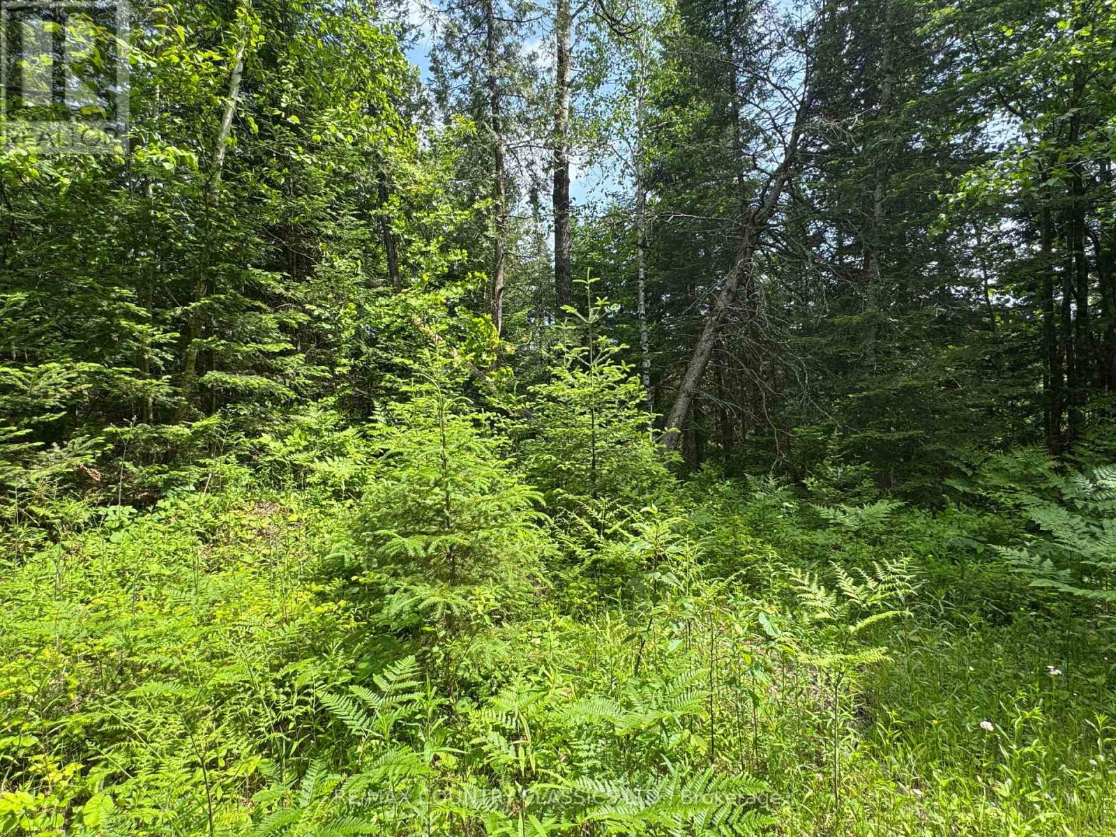 0 Jones Road, Wollaston, Ontario  K0L 1P0 - Photo 13 - X12235074