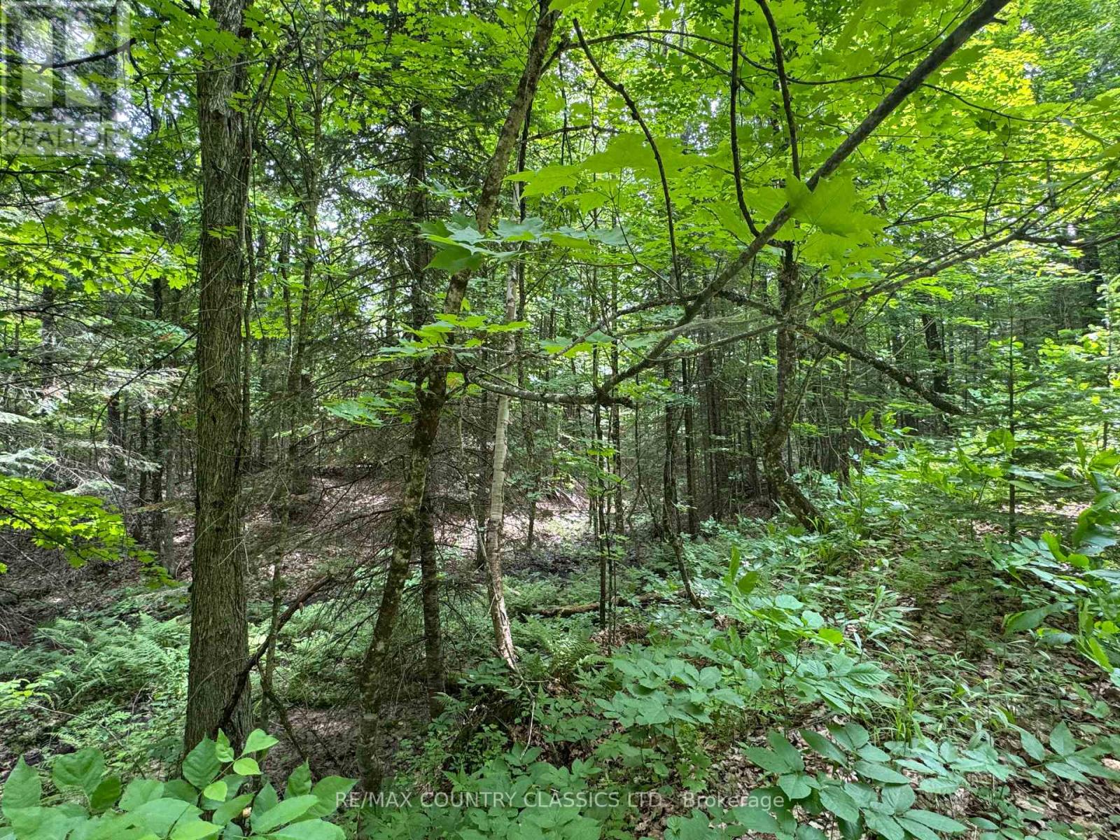 0 Jones Road, Wollaston, Ontario  K0L 1P0 - Photo 5 - X12235074