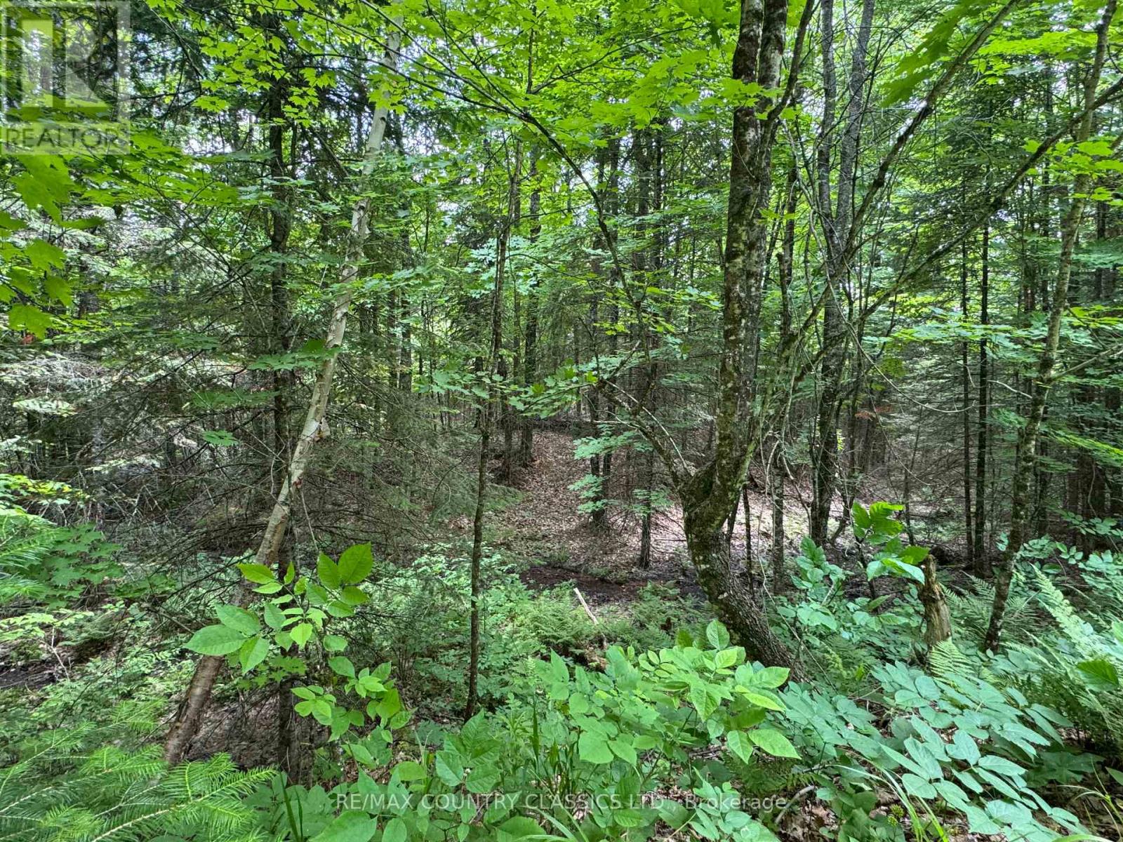 0 Jones Road, Wollaston, Ontario  K0L 1P0 - Photo 6 - X12235074