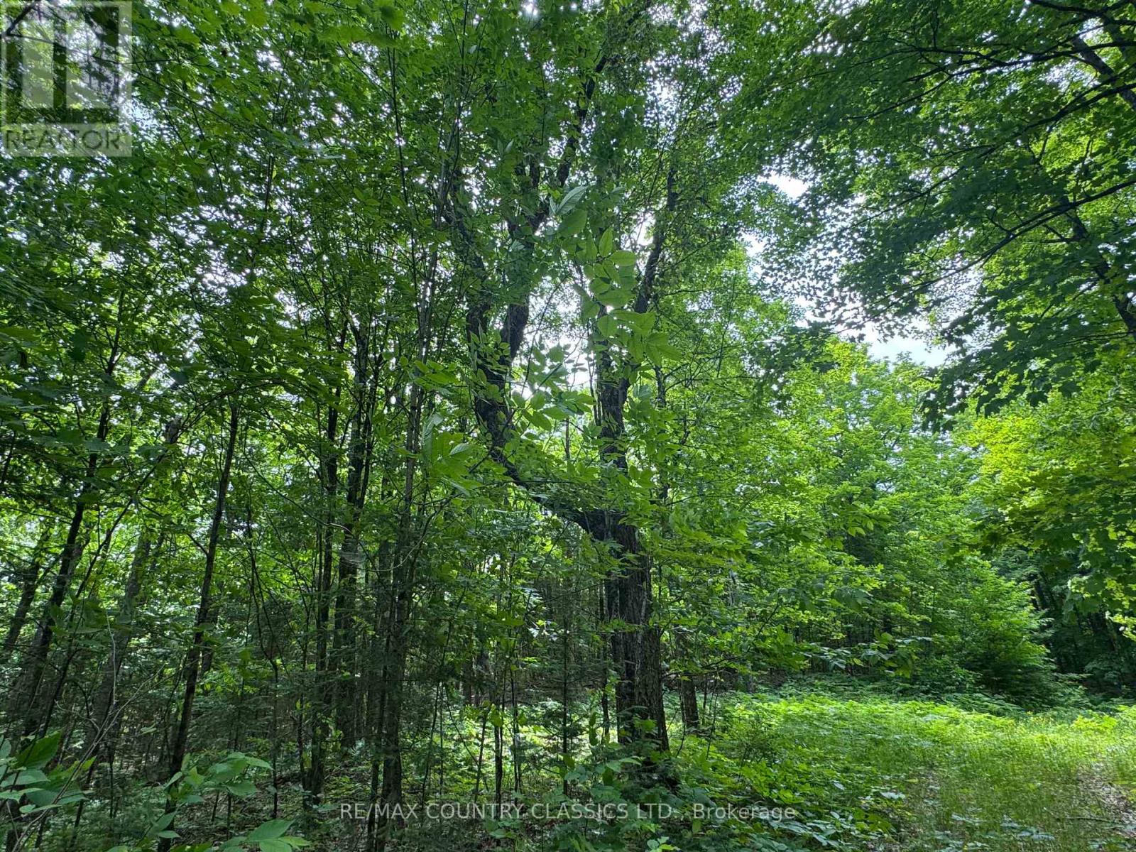 0 Jones Road, Wollaston, Ontario  K0L 1P0 - Photo 8 - X12235074