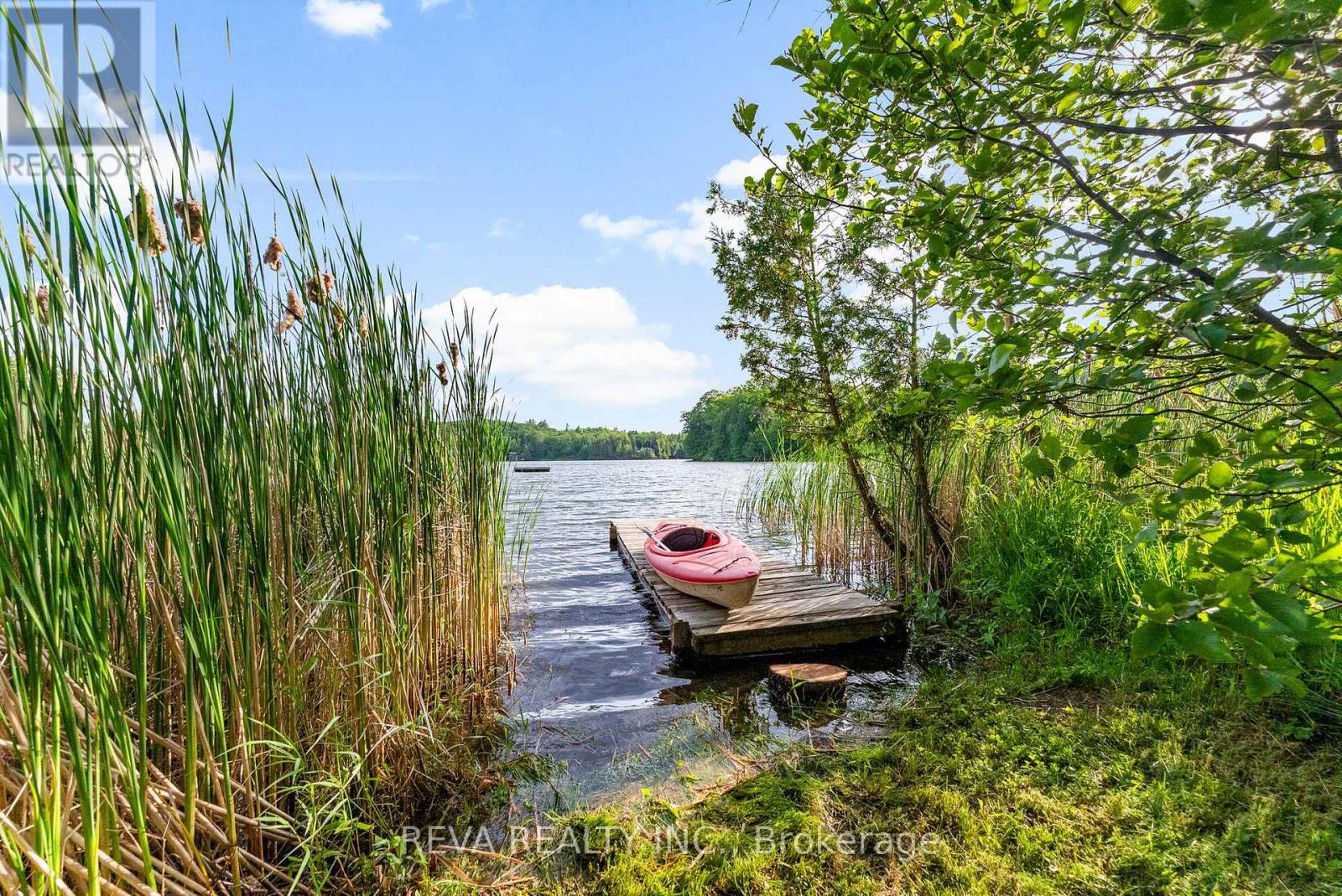 14 Robinson Lane, Bancroft (Dungannon Ward), Ontario  K0L 2L0 - Photo 39 - X12235236