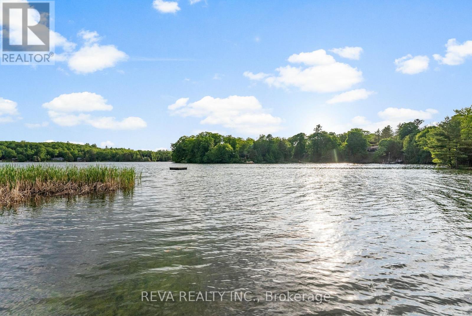14 Robinson Lane, Bancroft (Dungannon Ward), Ontario  K0L 2L0 - Photo 40 - X12235236