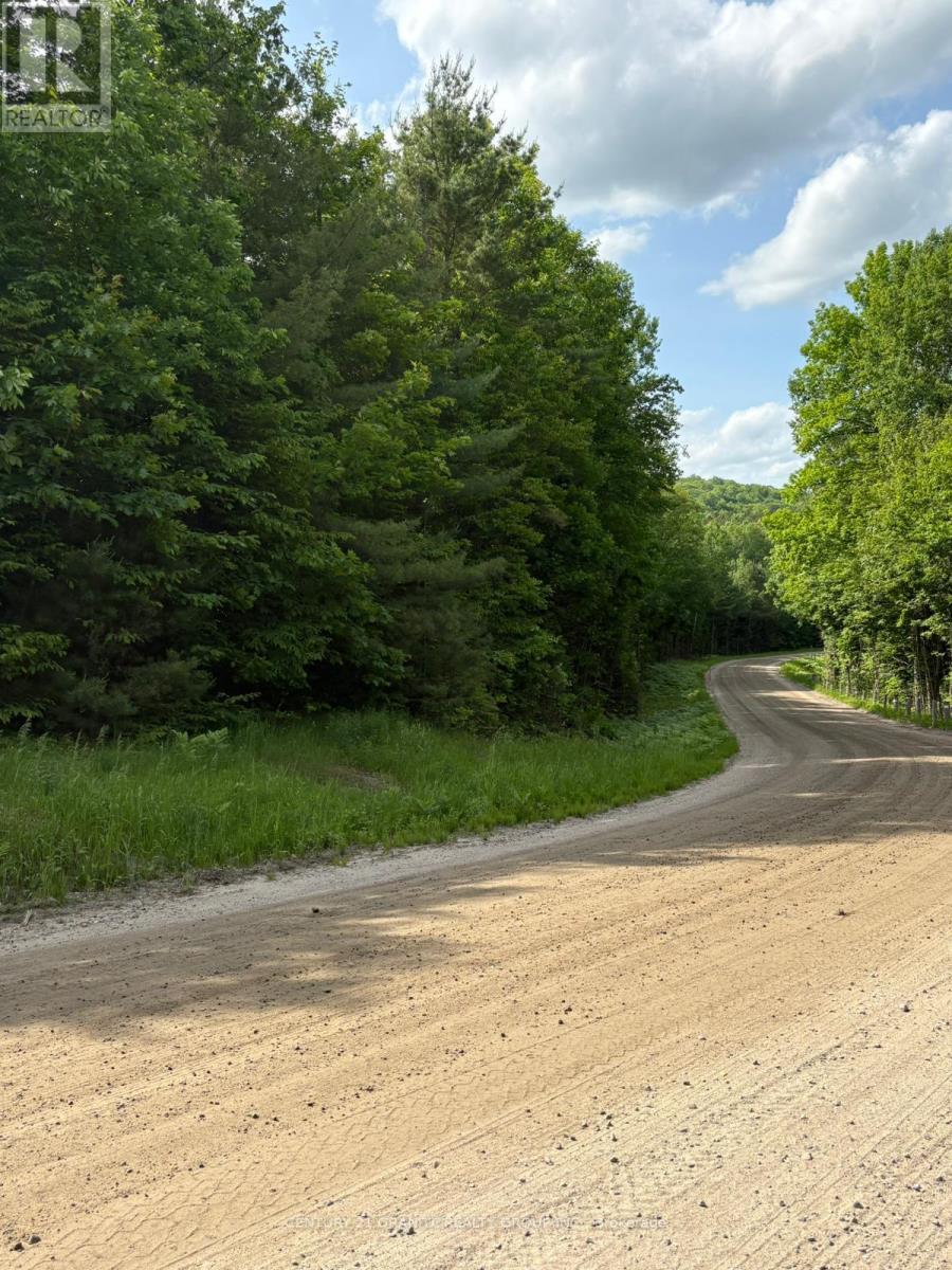 0 BRONSON ROAD, bancroft (dungannon ward), Ontario