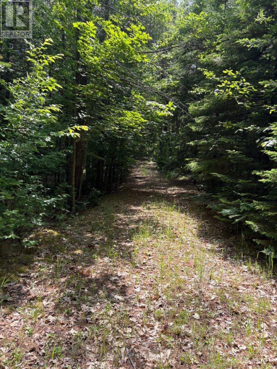 0 Bronson Road, Bancroft (Dungannon Ward), Ontario  K0L 1C0 - Photo 3 - X12235431