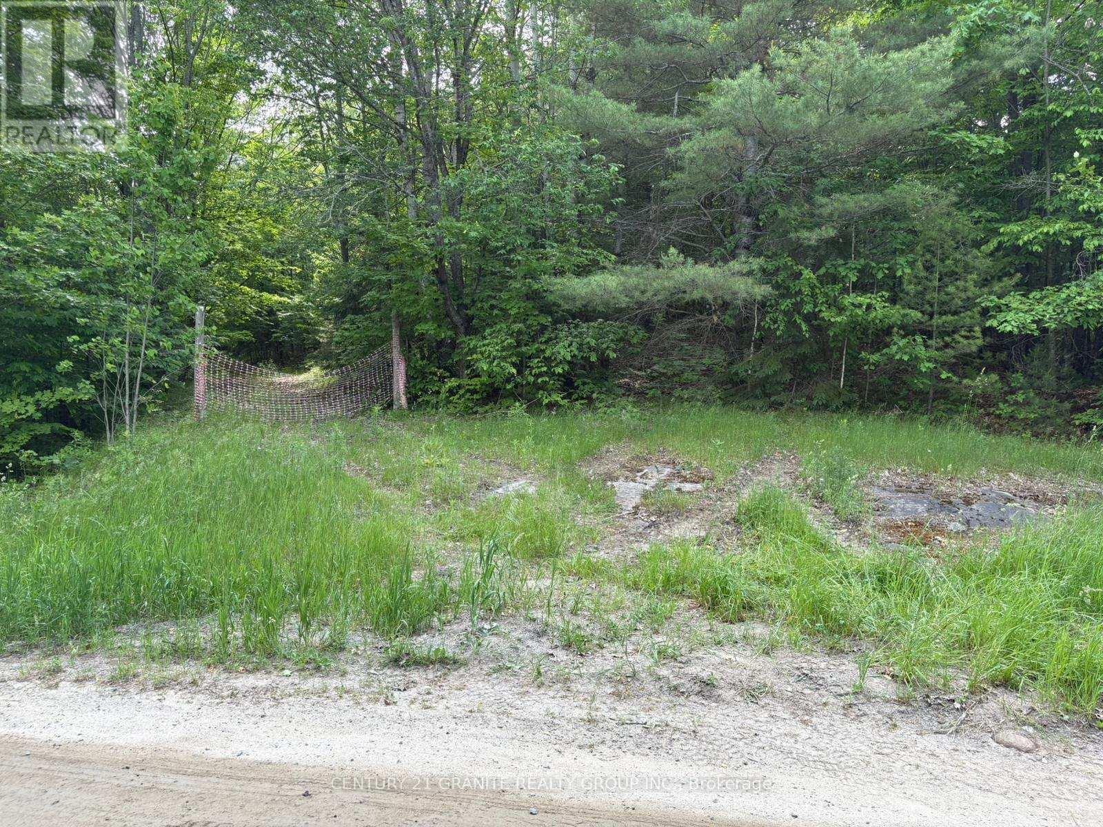0 Bronson Road, Bancroft (Dungannon Ward), Ontario  K0L 1C0 - Photo 4 - X12235431