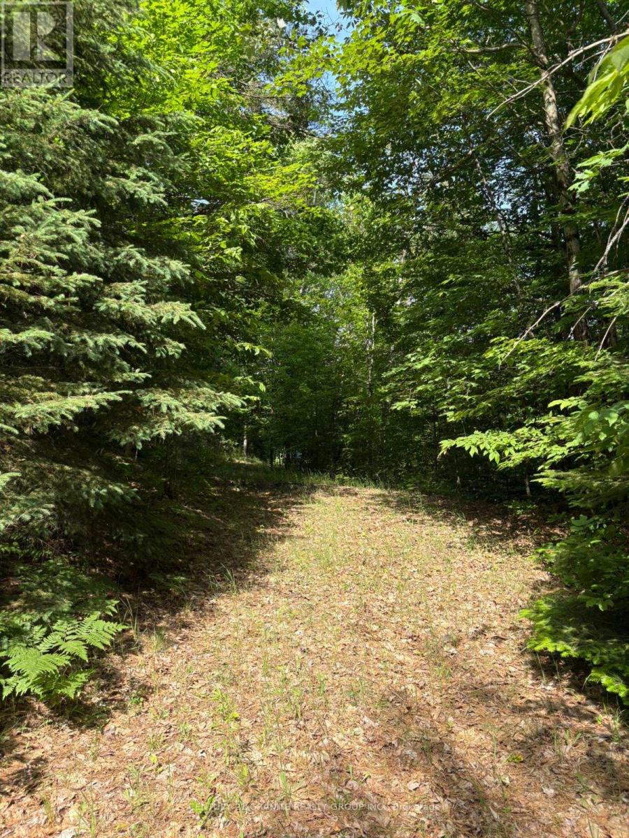 0 Bronson Road, Bancroft (Dungannon Ward), Ontario  K0L 1C0 - Photo 5 - X12235431