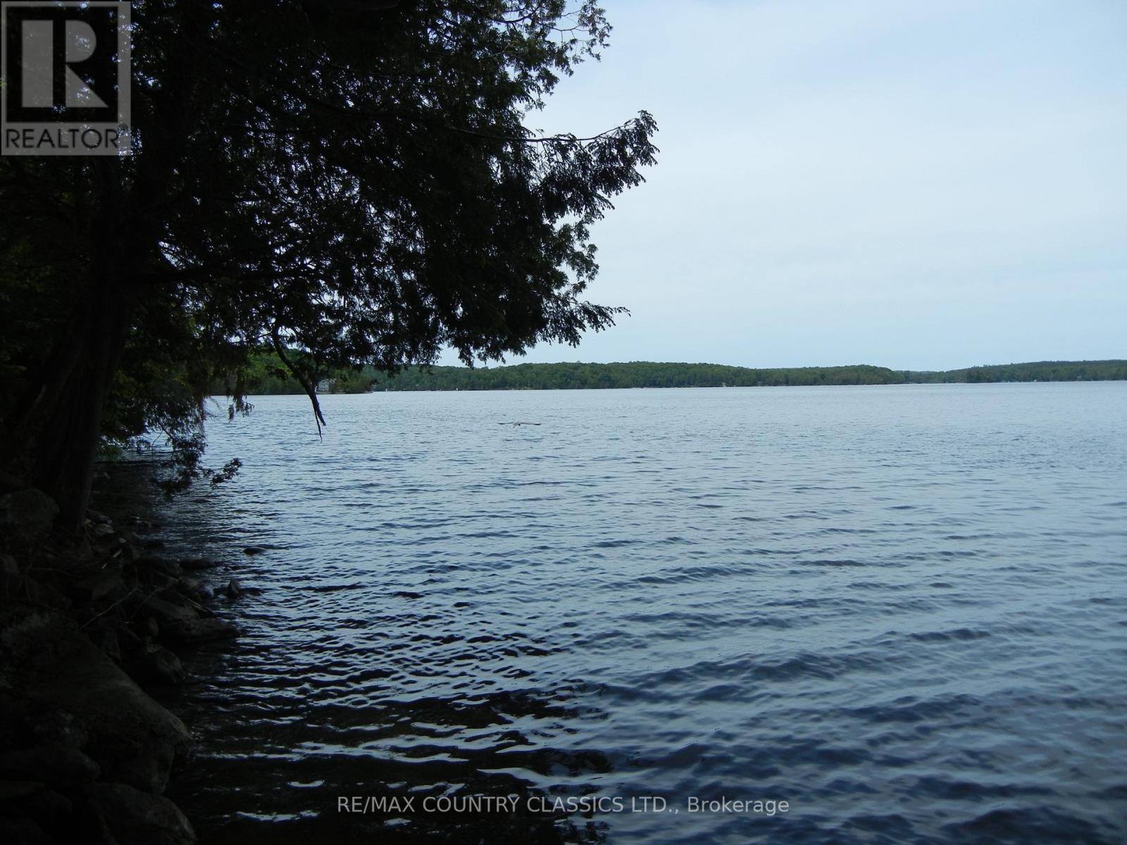 37 Goldfinch Lane, North Kawartha, Ontario  K0L 1A0 - Photo 23 - X12235888