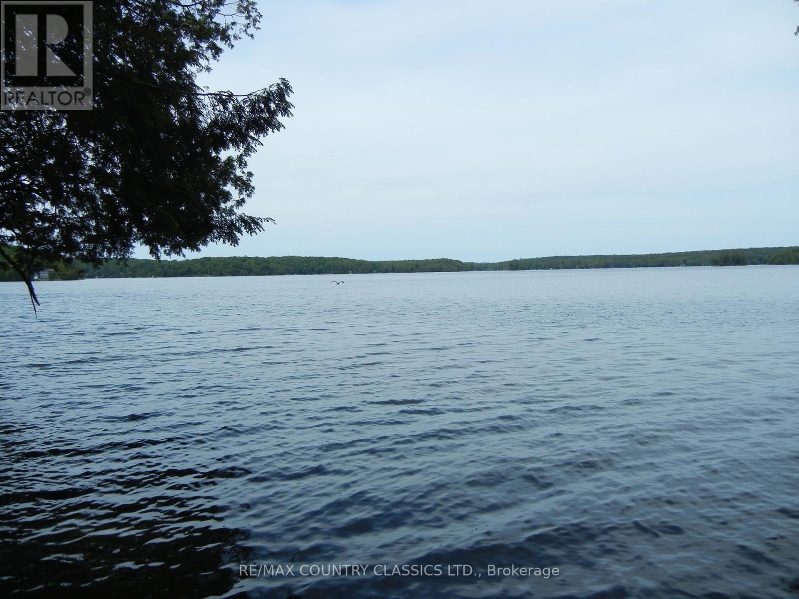37 Goldfinch Lane, North Kawartha, Ontario  K0L 1A0 - Photo 24 - X12235888