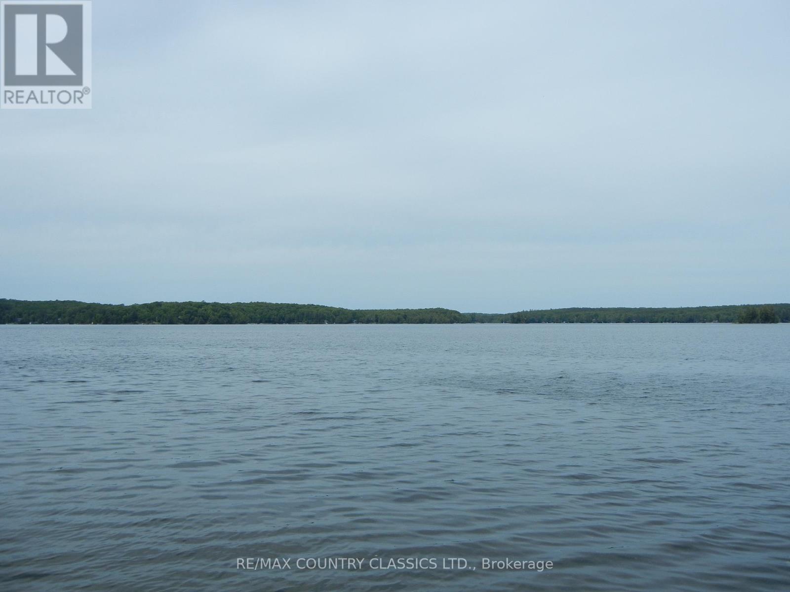 37 Goldfinch Lane, North Kawartha, Ontario  K0L 1A0 - Photo 6 - X12235888