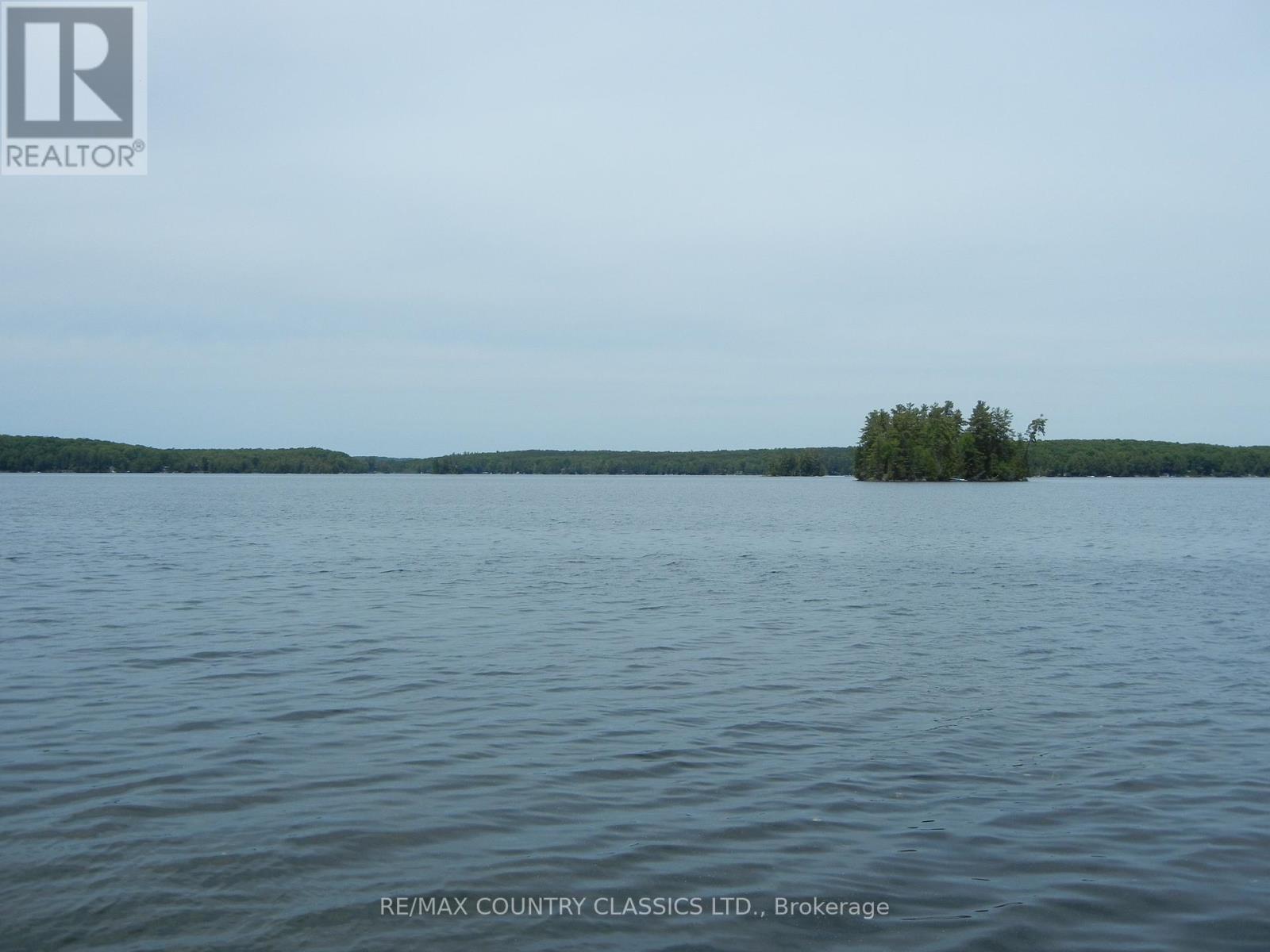 37 Goldfinch Lane, North Kawartha, Ontario  K0L 1A0 - Photo 7 - X12235888