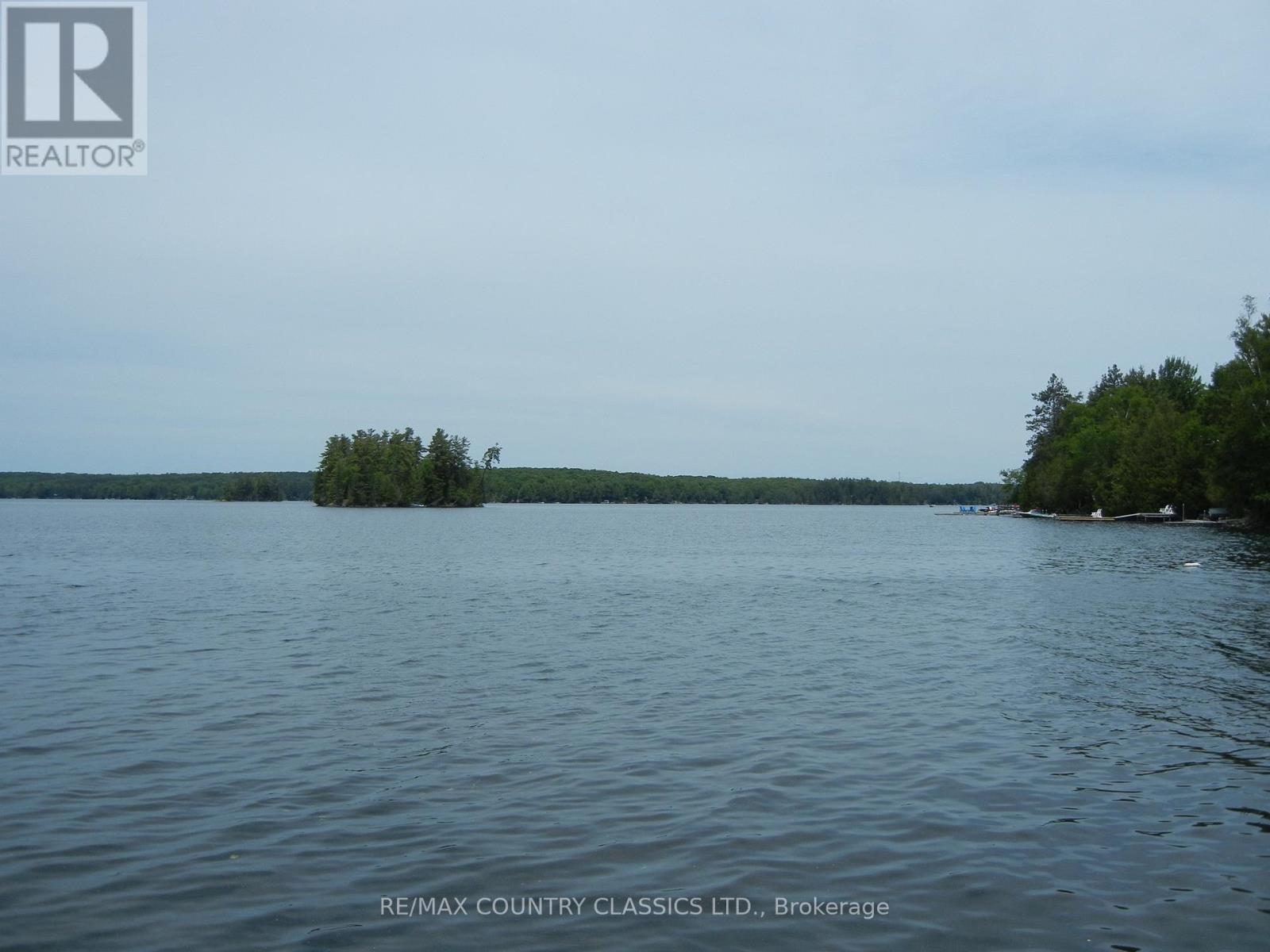 37 Goldfinch Lane, North Kawartha, Ontario  K0L 1A0 - Photo 8 - X12235888