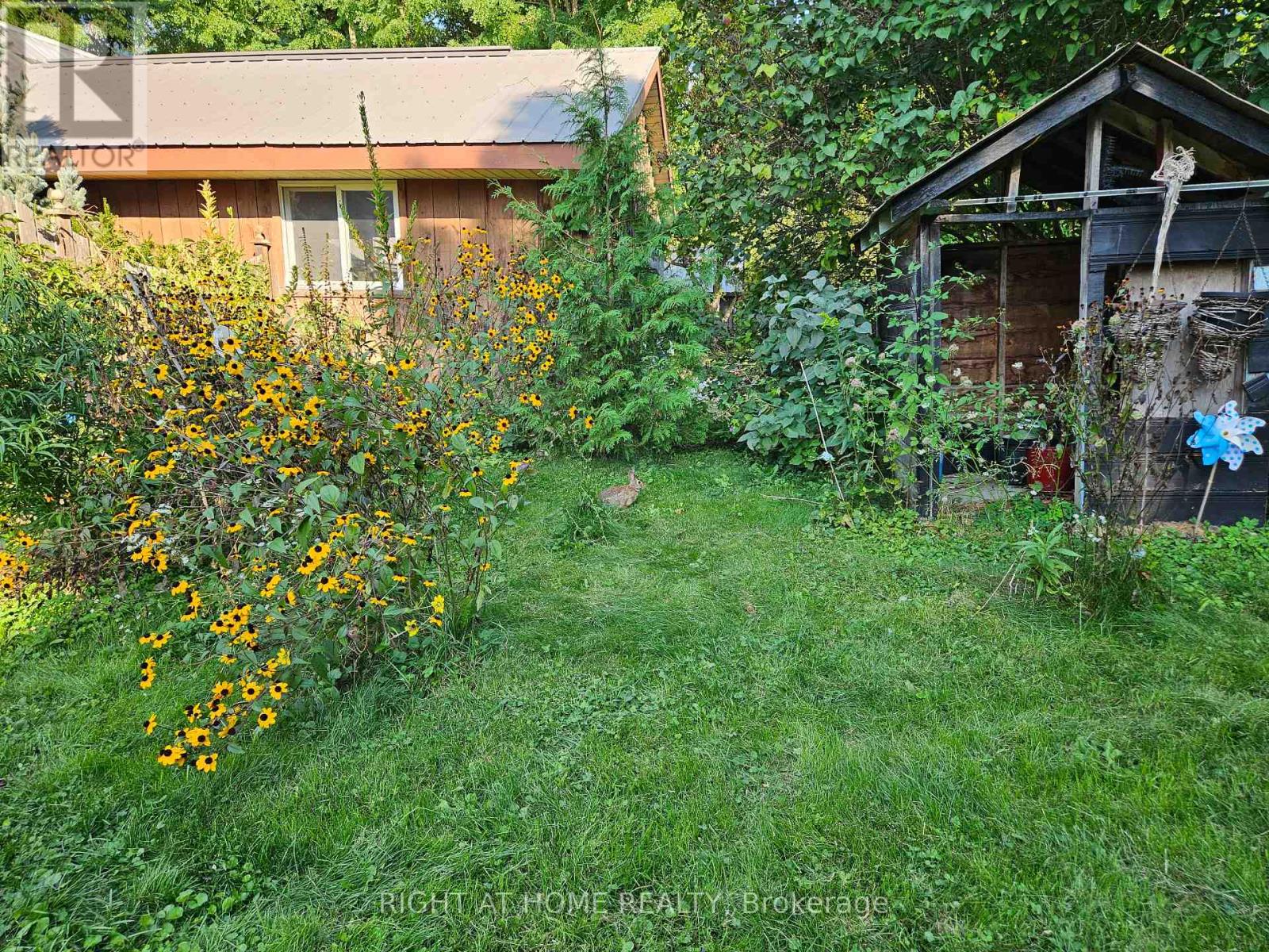 10 Regent Street, Selwyn, Ontario  K0L 2H0 - Photo 13 - X12237527