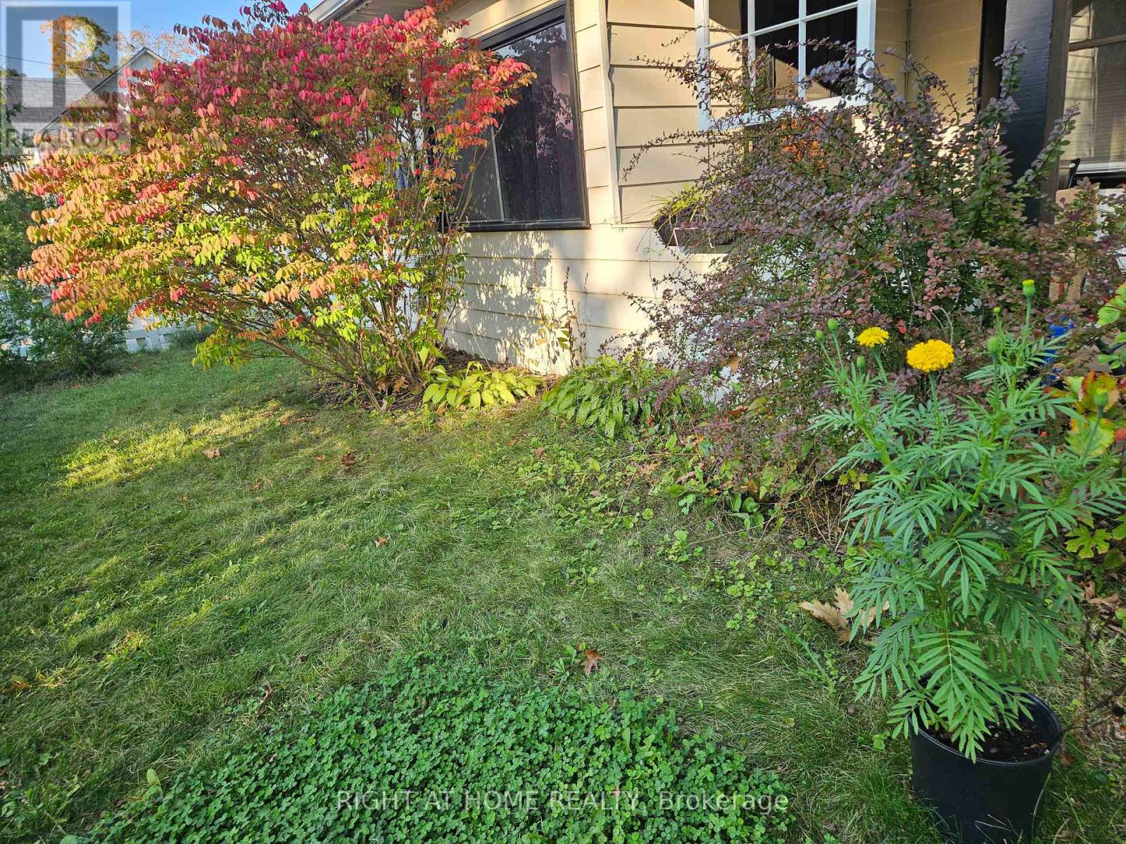 10 Regent Street, Selwyn, Ontario  K0L 2H0 - Photo 20 - X12237527