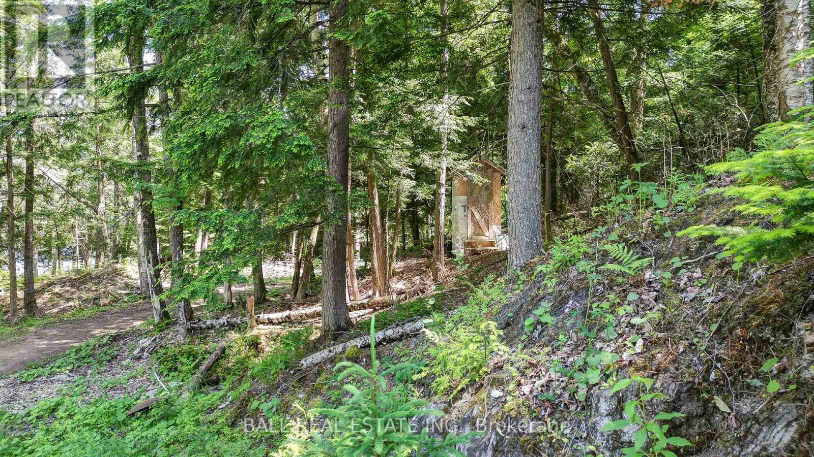 110 Lillian Lane, Tudor And Cashel (Tudor Ward), Ontario  K0L 1W0 - Photo 37 - X12239593