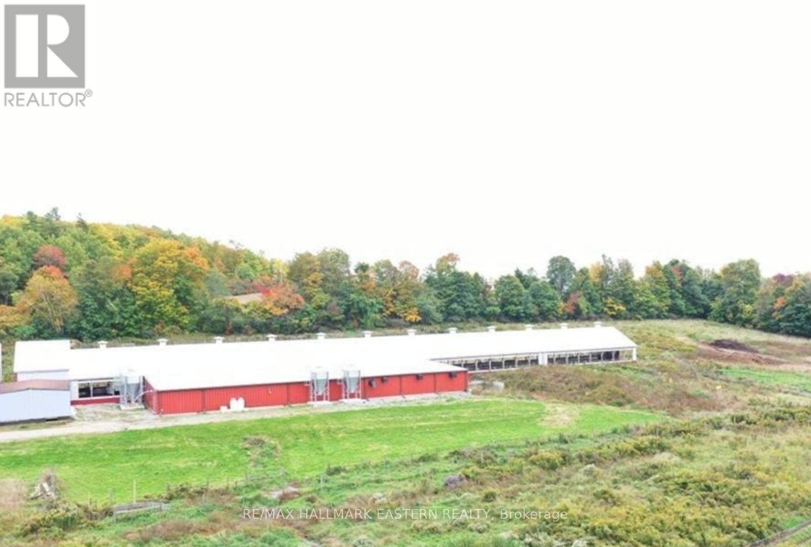1300 David Fife Line, Otonabee-South Monaghan, Ontario  K0L 2G0 - Photo 12 - X12240045