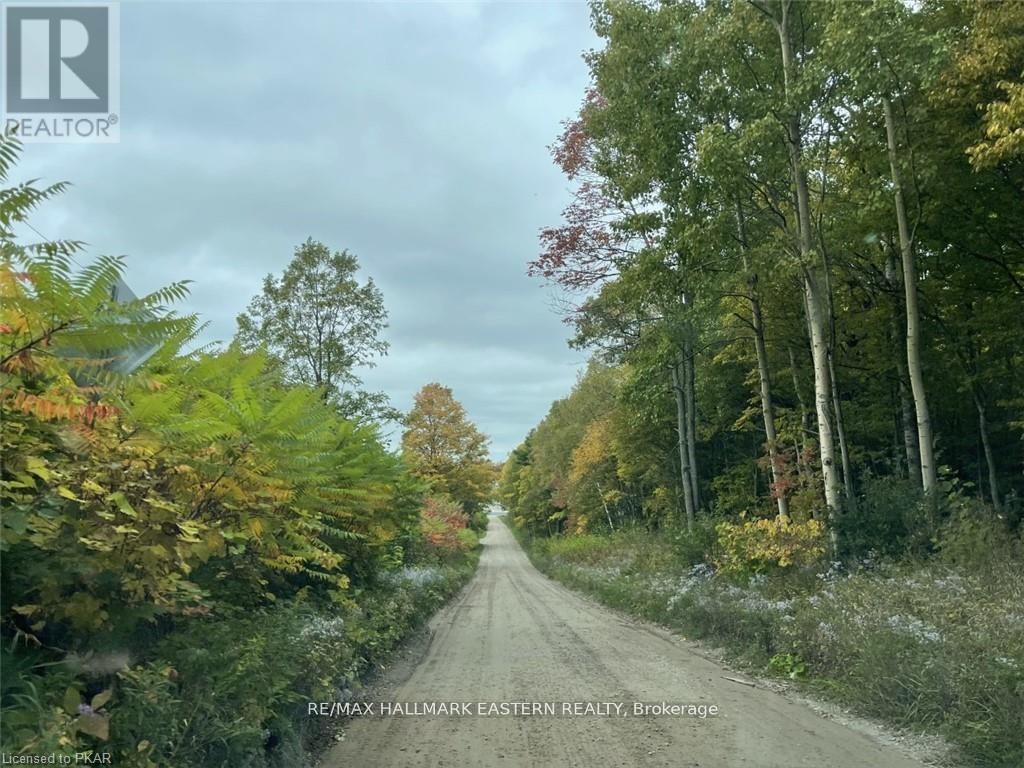 1300 David Fife Line, Otonabee-South Monaghan, Ontario  K0L 2G0 - Photo 14 - X12240045