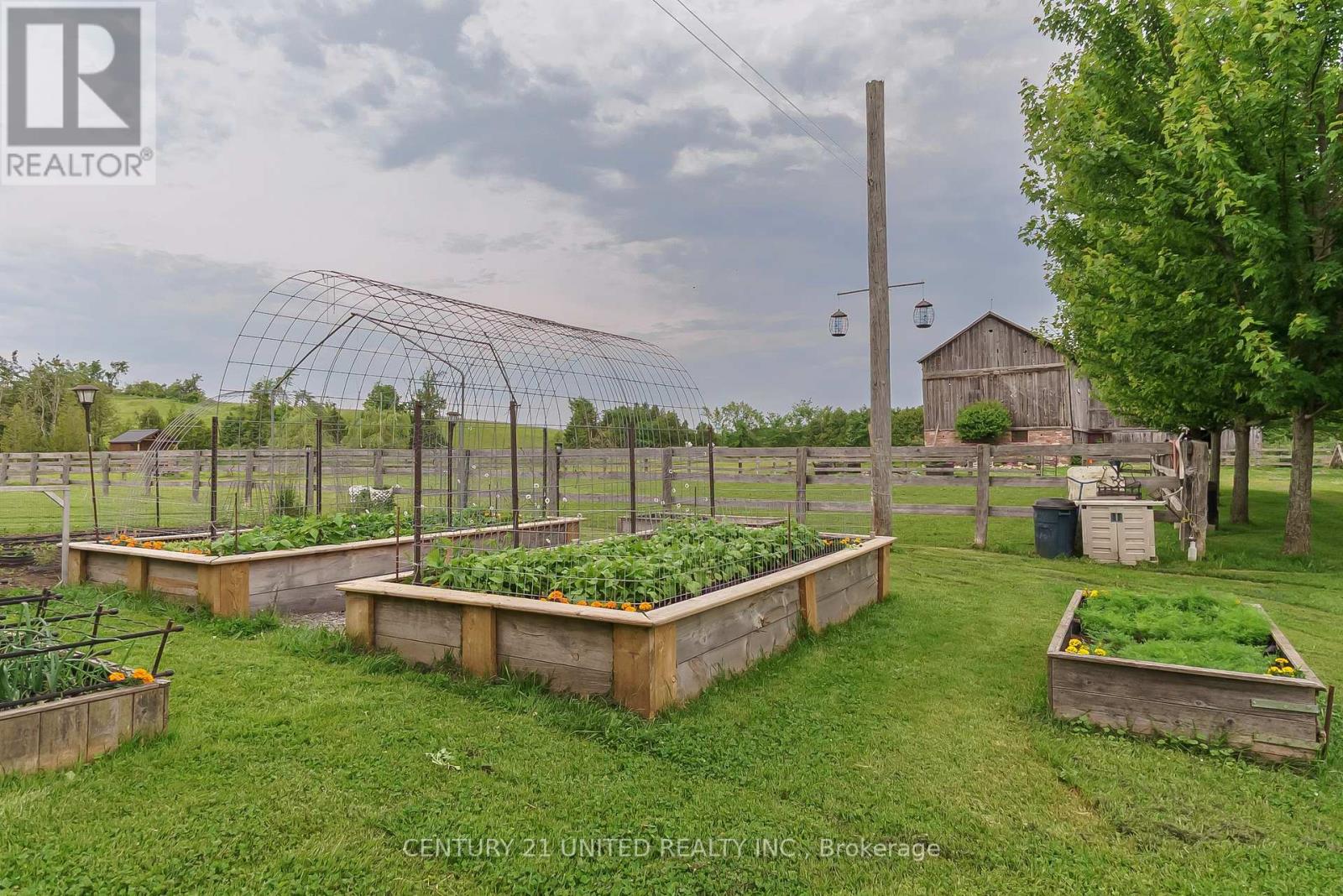 1662 11th Line, Selwyn, Ontario  K0L 2H0 - Photo 30 - X12241795