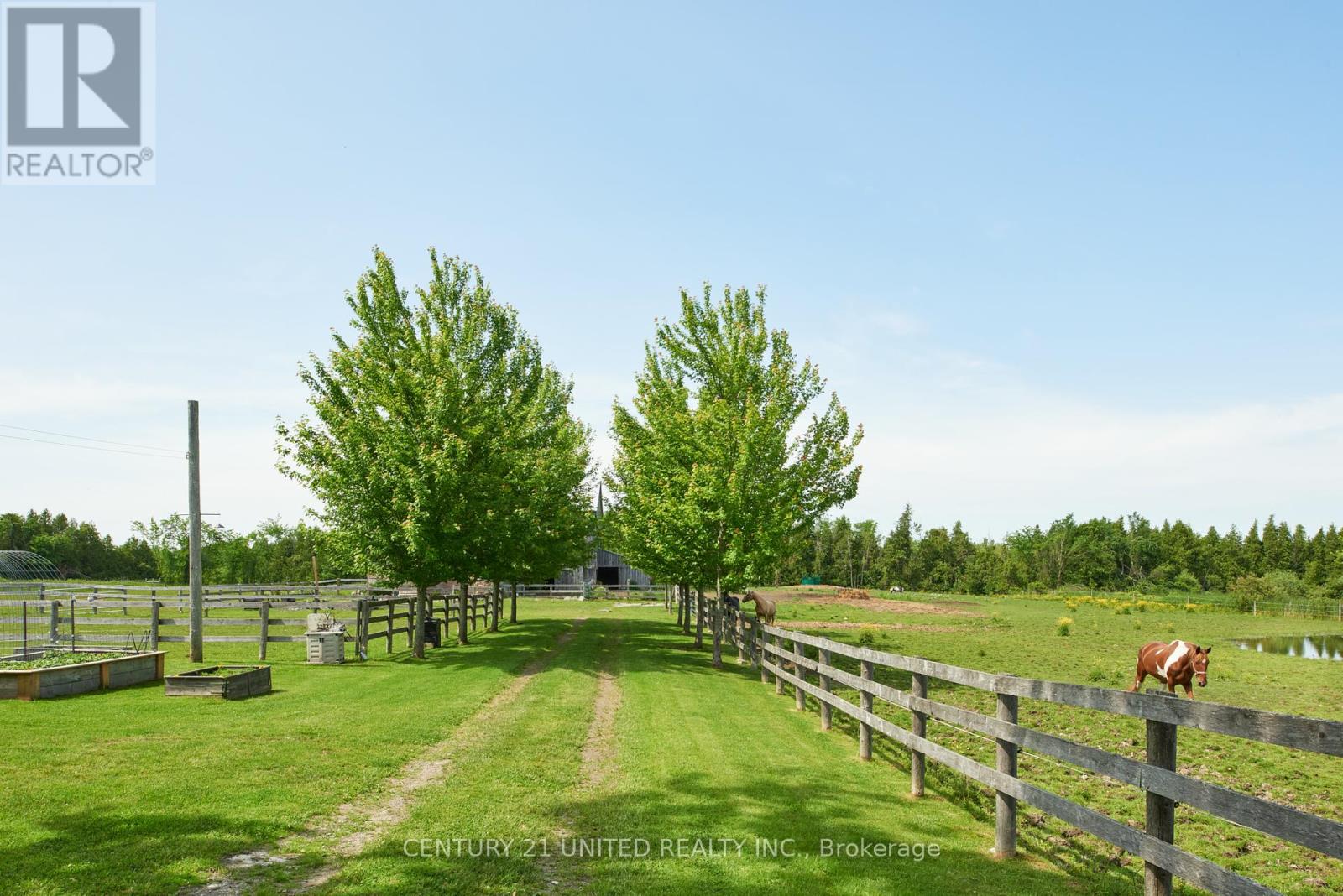 1662 11th Line, Selwyn, Ontario  K0L 2H0 - Photo 38 - X12241795