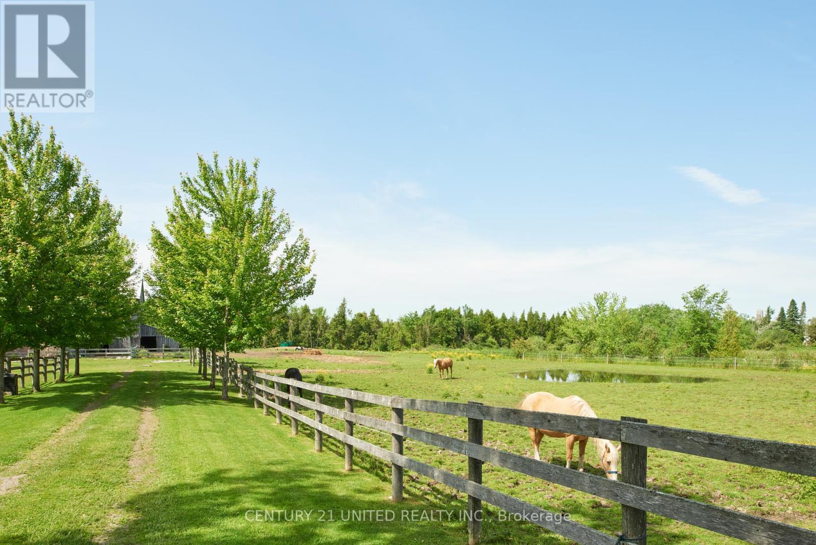 1662 11th Line, Selwyn, Ontario  K0L 2H0 - Photo 39 - X12241795