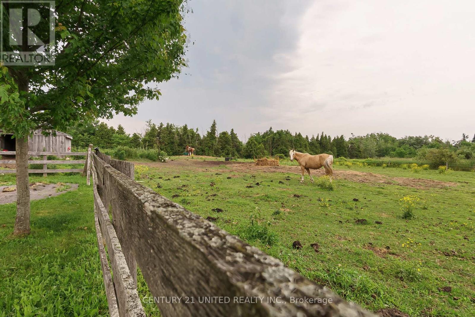1662 11th Line, Selwyn, Ontario  K0L 2H0 - Photo 40 - X12241795