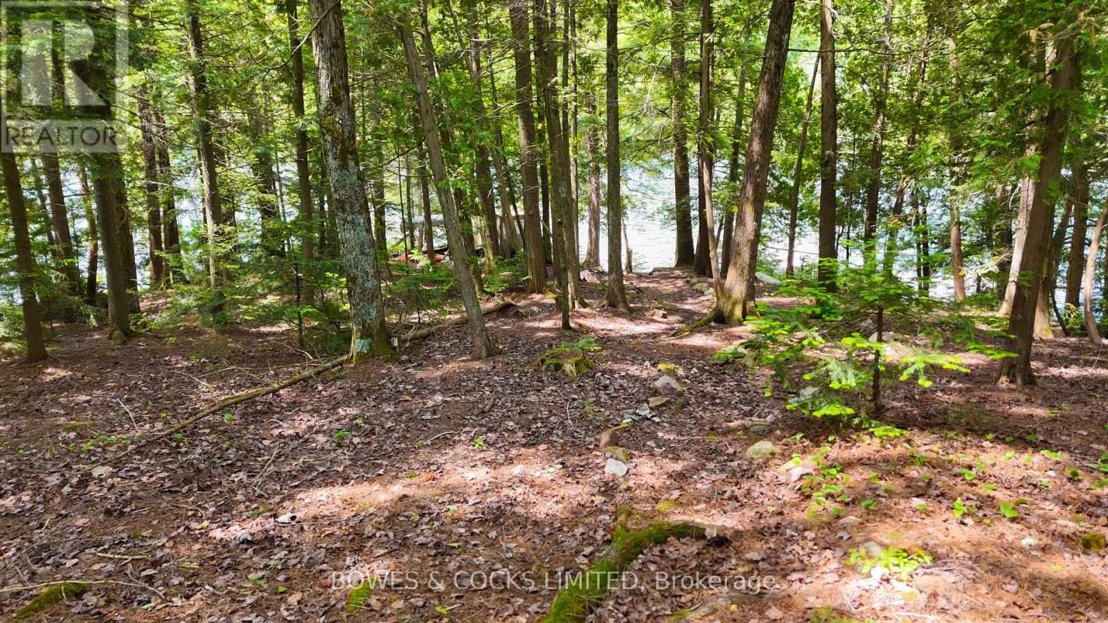 1117 Thunderbird Lane, Birch Island, Highlands East (Bicroft Ward), Ontario  K0L 1M0 - Photo 15 - X12242261
