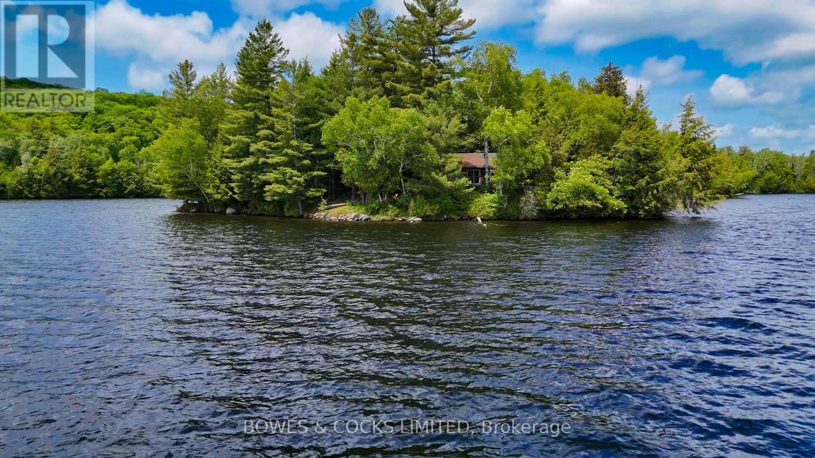 1117 Thunderbird Lane, Birch Island, Highlands East (Bicroft Ward), Ontario  K0L 1M0 - Photo 18 - X12242261