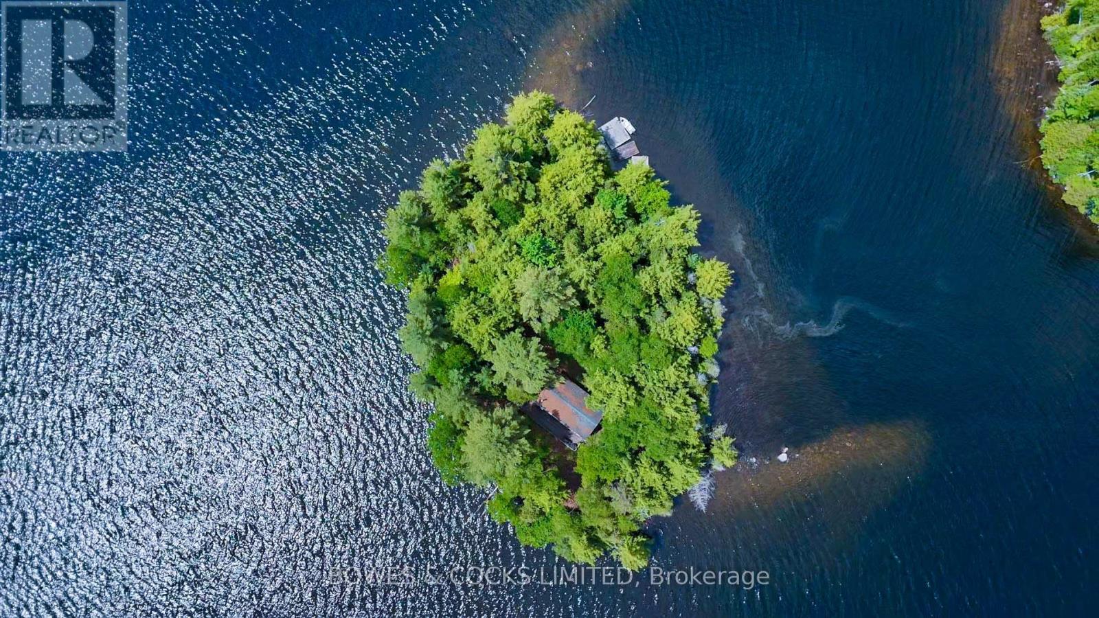 1117 Thunderbird Lane, Birch Island, Highlands East (Bicroft Ward), Ontario  K0L 1M0 - Photo 2 - X12242261