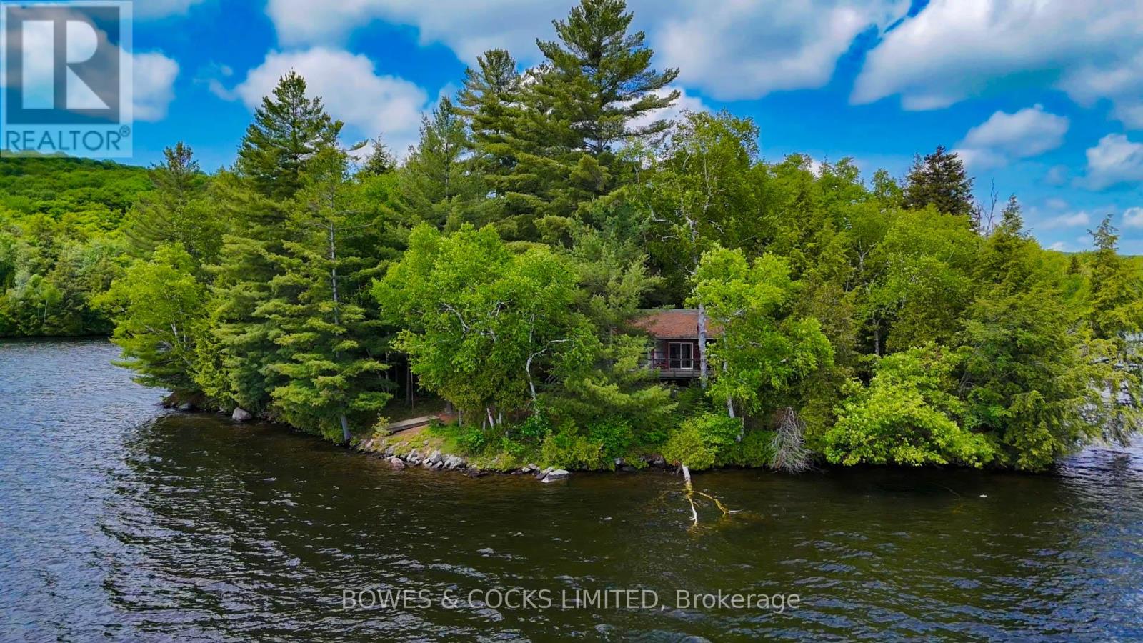 1117 Thunderbird Lane, Birch Island, Highlands East (Bicroft Ward), Ontario  K0L 1M0 - Photo 20 - X12242261
